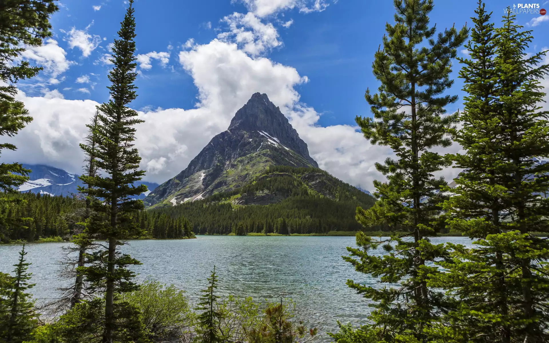 Glacier National Park, Swiftcurrent Lake, viewes, Grinnell Point, trees, Montana State, The United States, Mountains