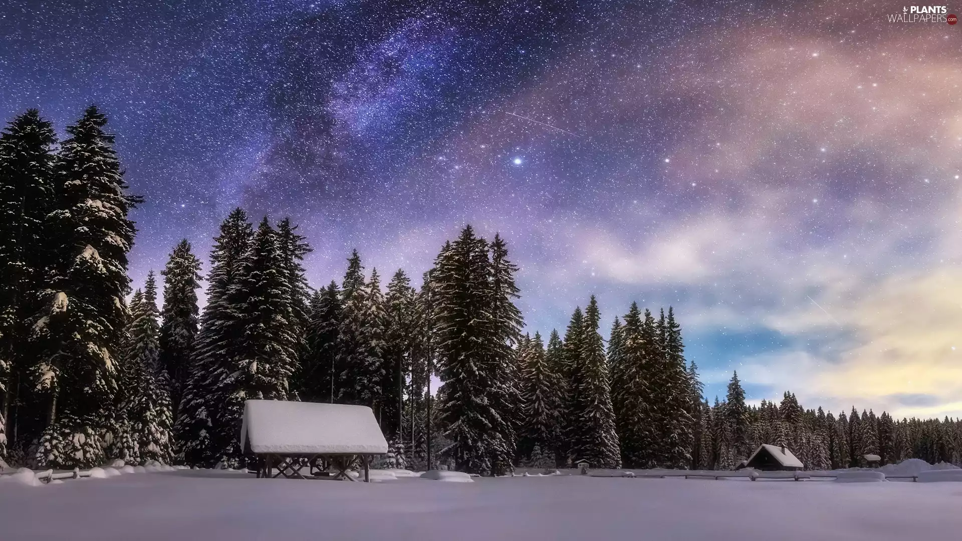 Pokljuka Plain, Slovenia, winter, forest, trees, viewes, Sky, star, evening