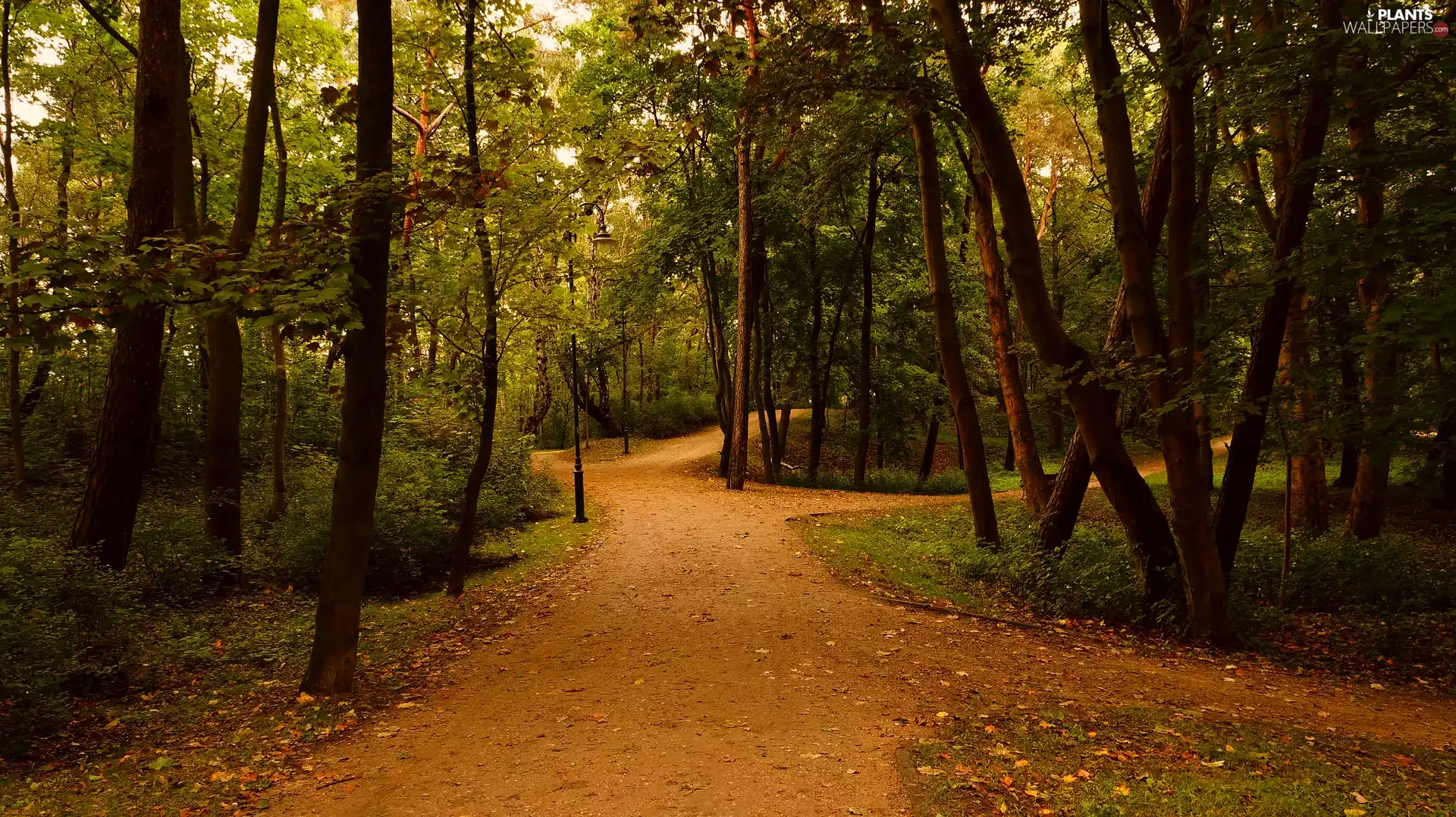 Park Brzeźnieński im. J. J. Haffnera, Poland, trees, viewes, Alleys, Gdańsk