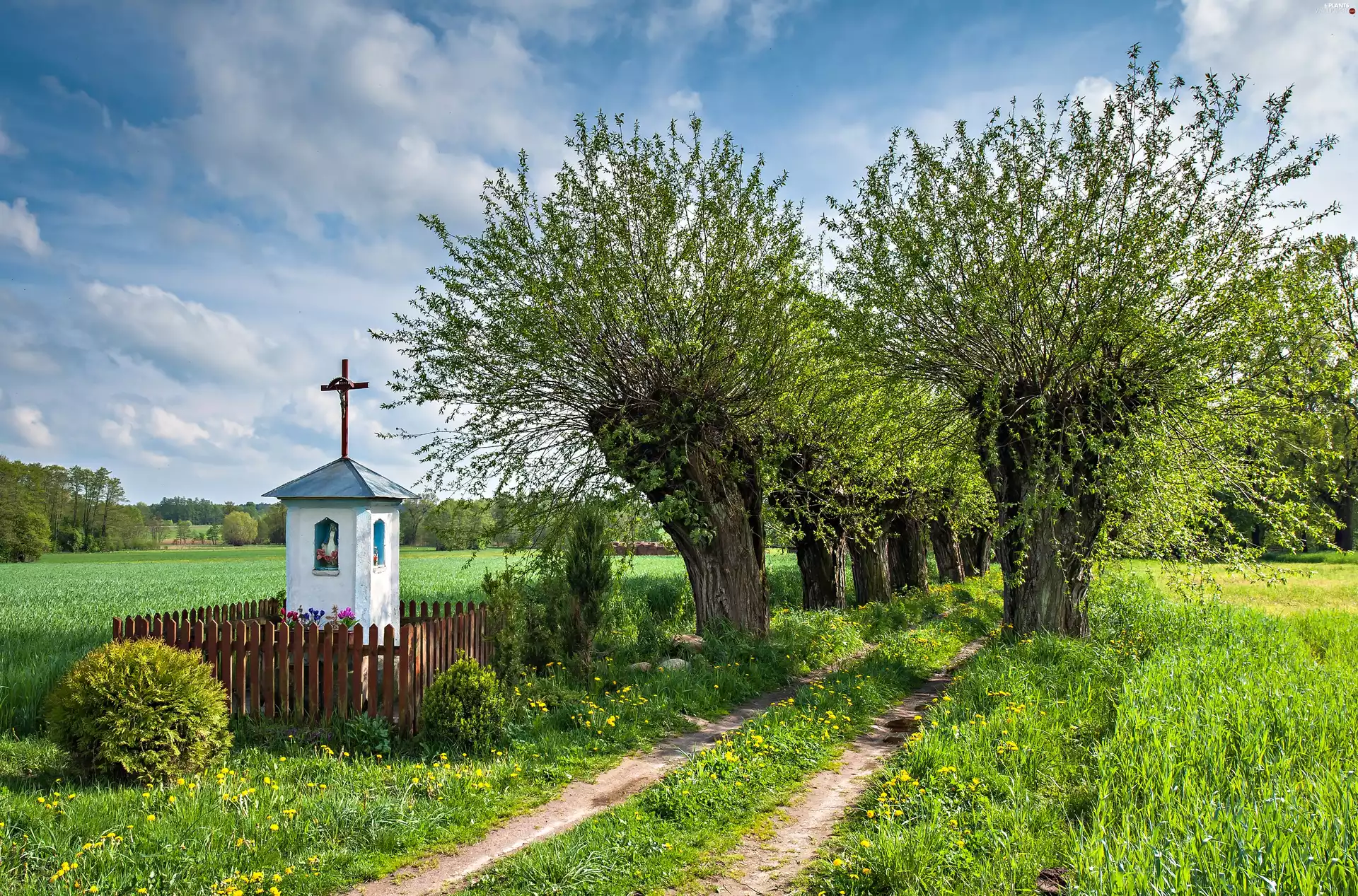 field, Poland, willow, chapel, Way