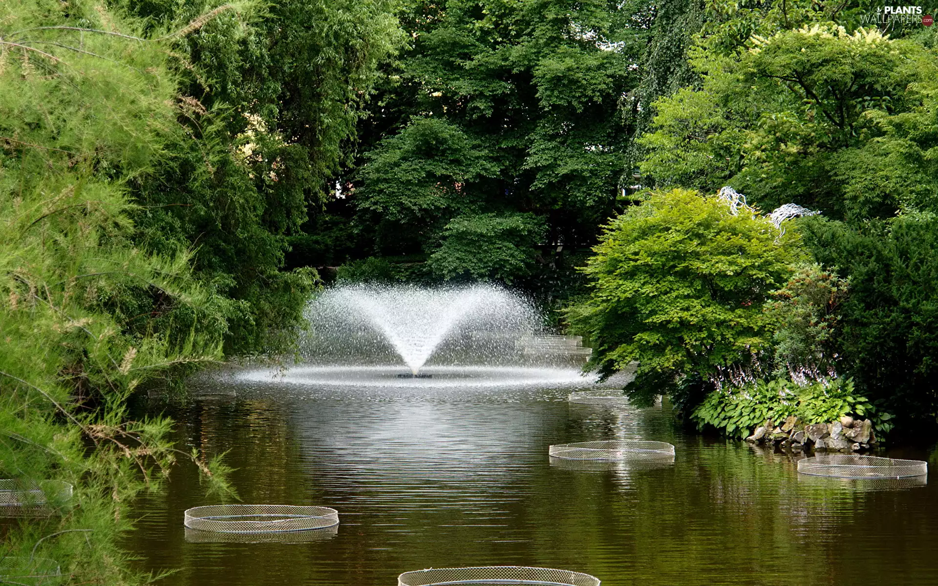 Pond - car, Wroclaw, trees, botanical garden, Poland, fountain, viewes