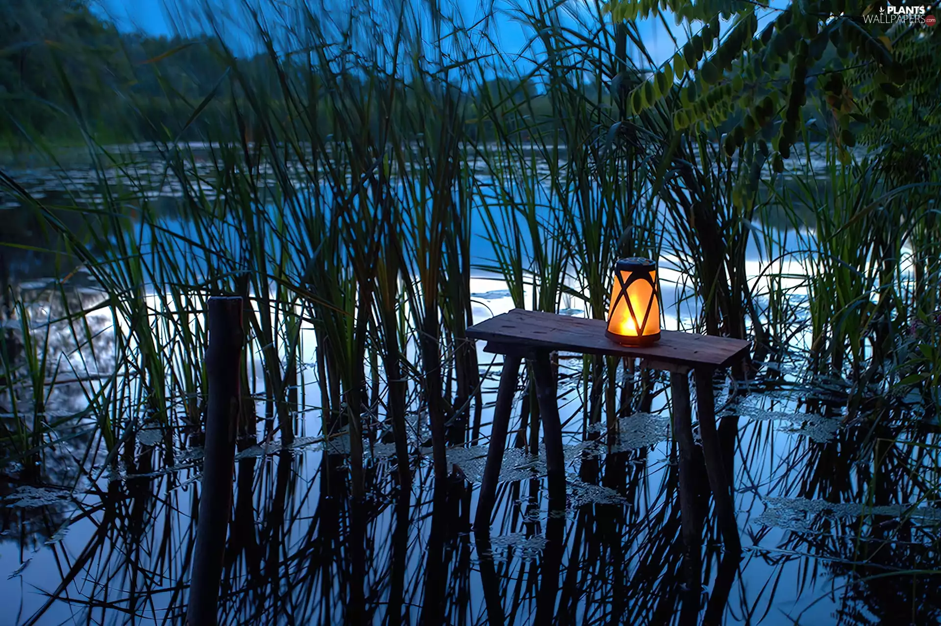 dry, table, reflection, Pond - car, grass, lantern
