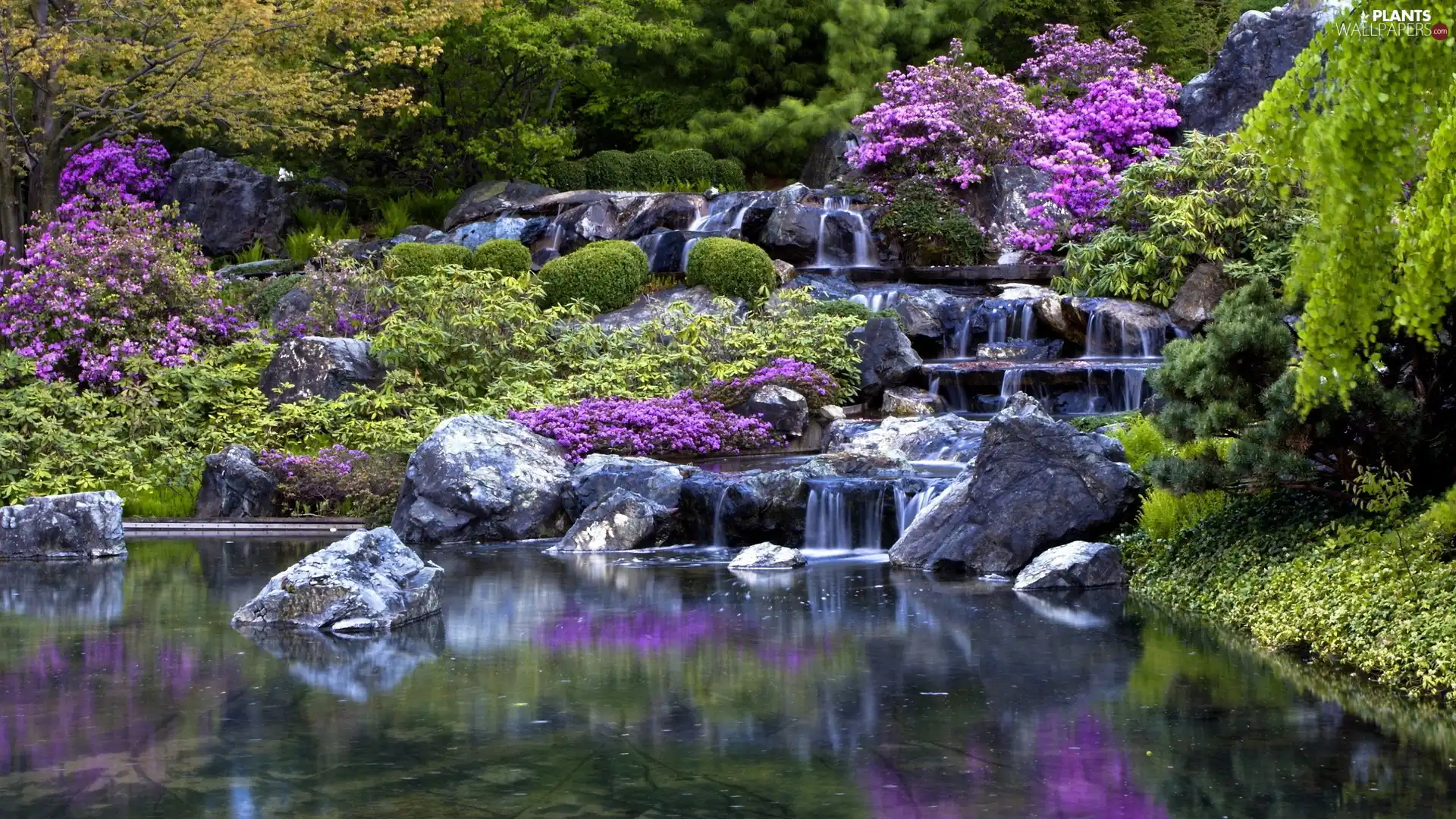 Stones, cascade, Pond - car, Bush