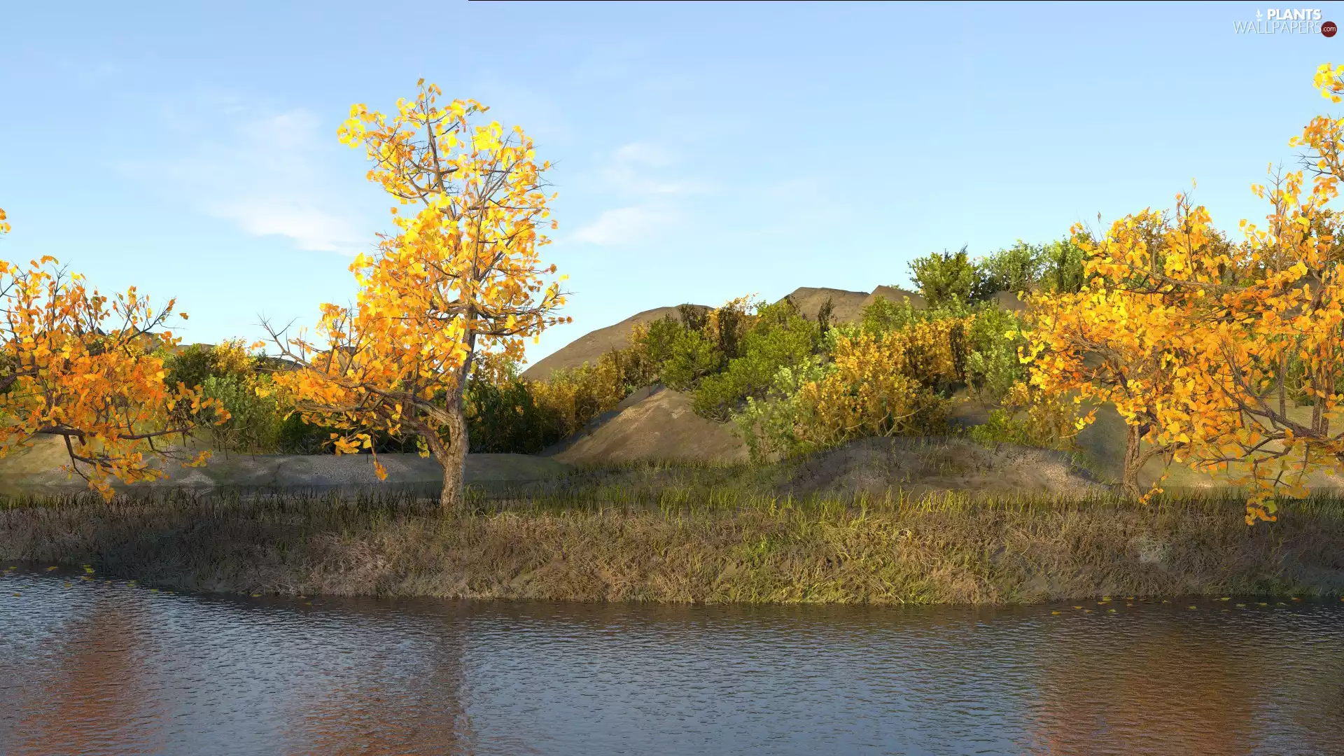 trees, autumn, Yellow, Pond - car, viewes, grass