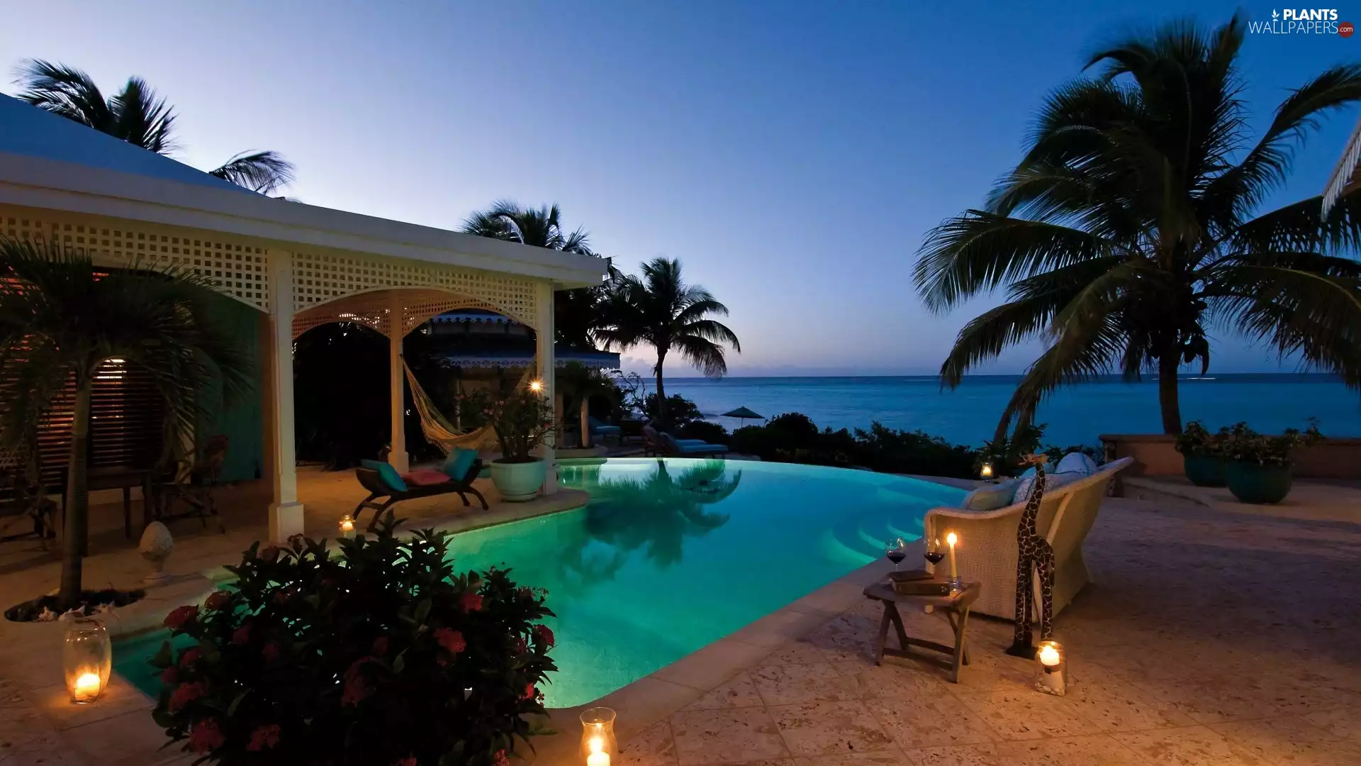 house, Palms, sea, Pool