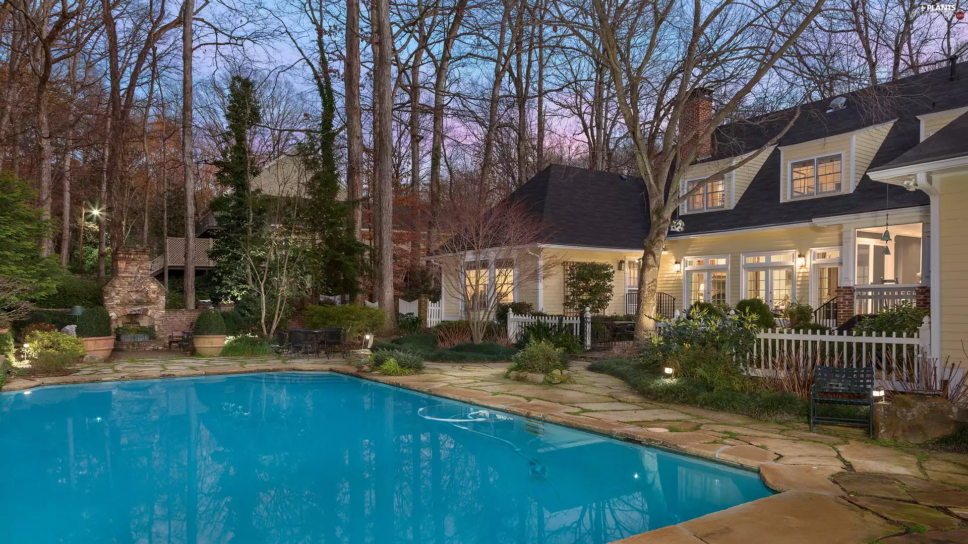 house, trees, viewes, Pool