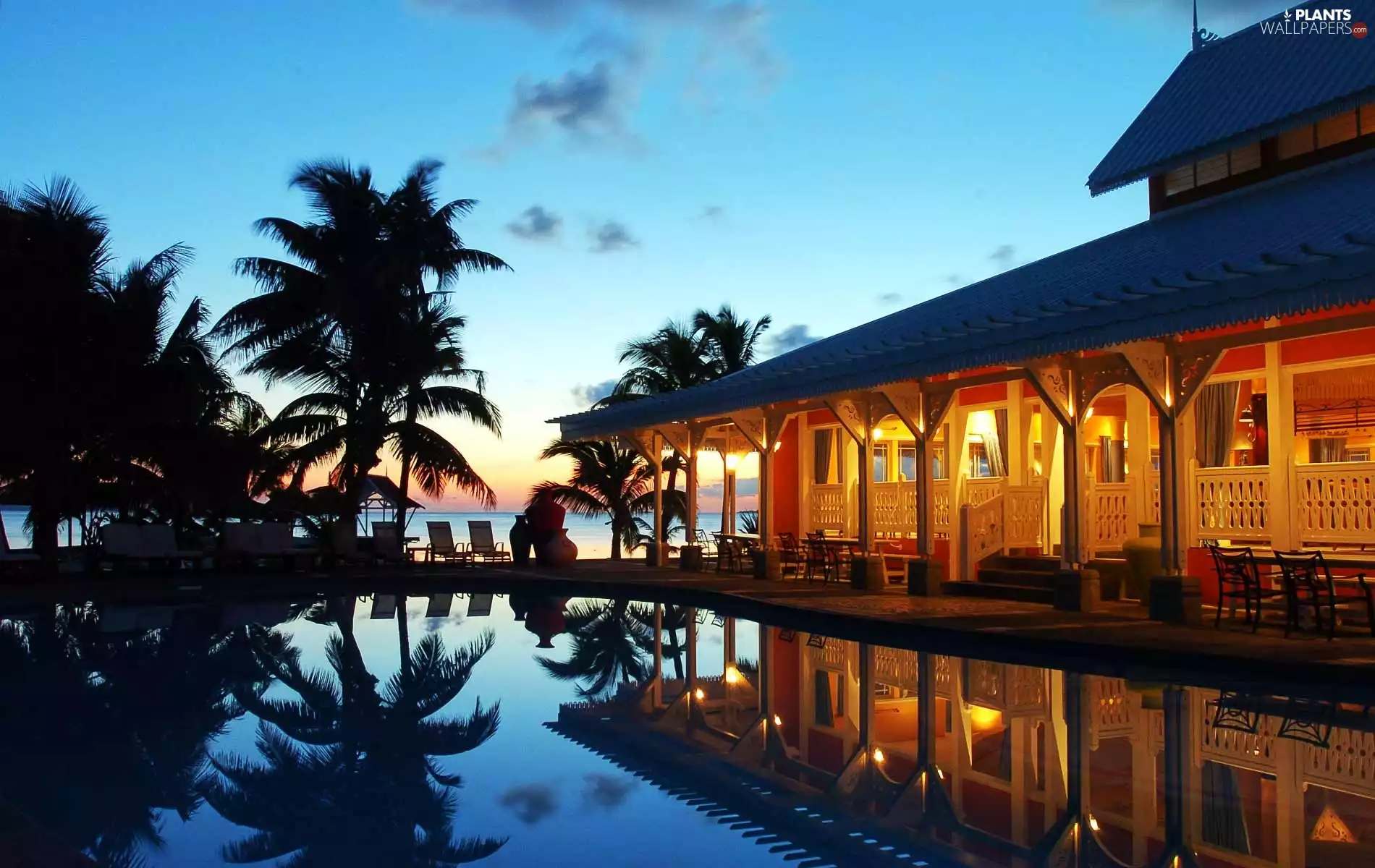 Palms, Hotel hall, Pool