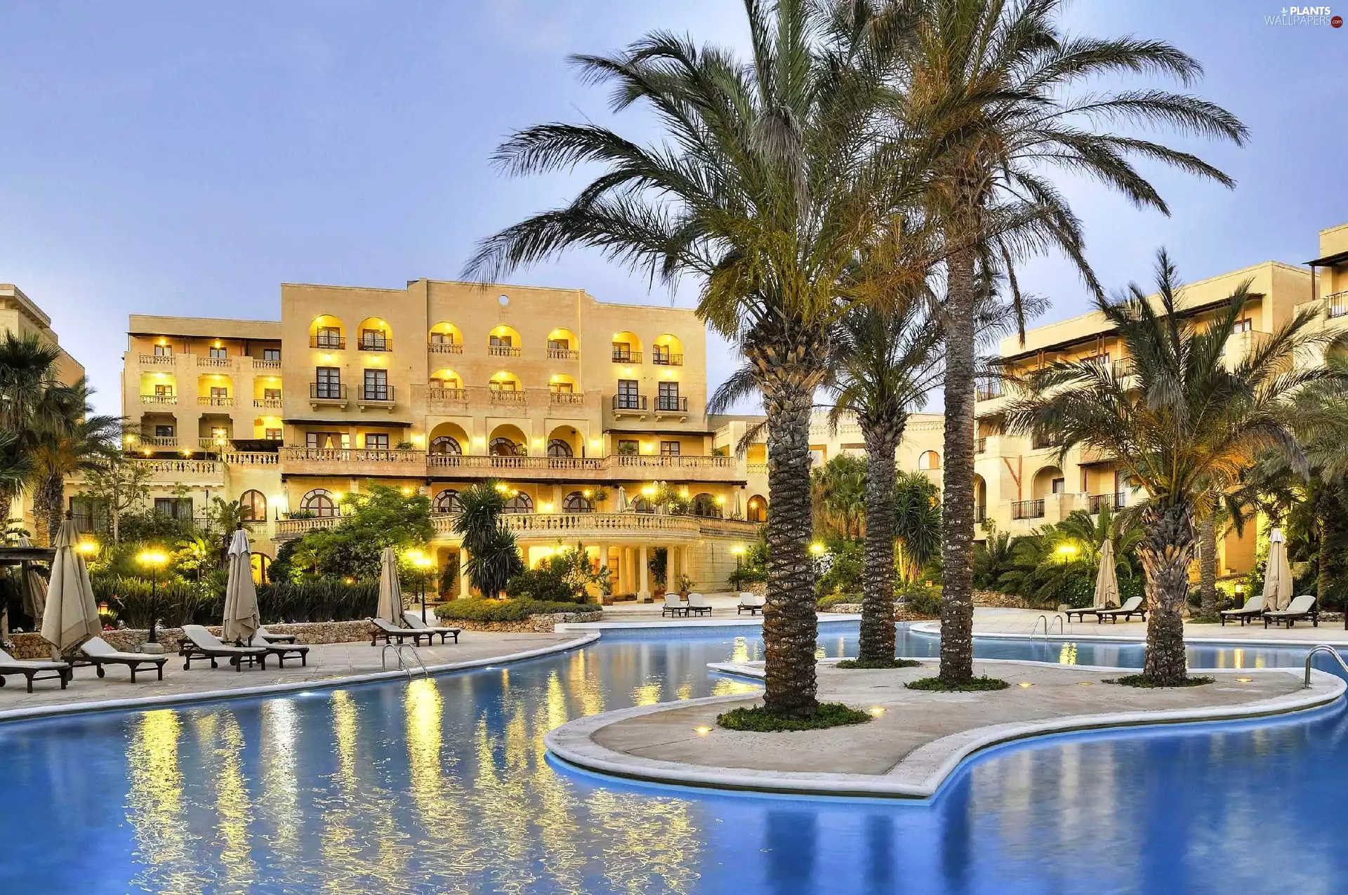 Palms, Hotel hall, Pool
