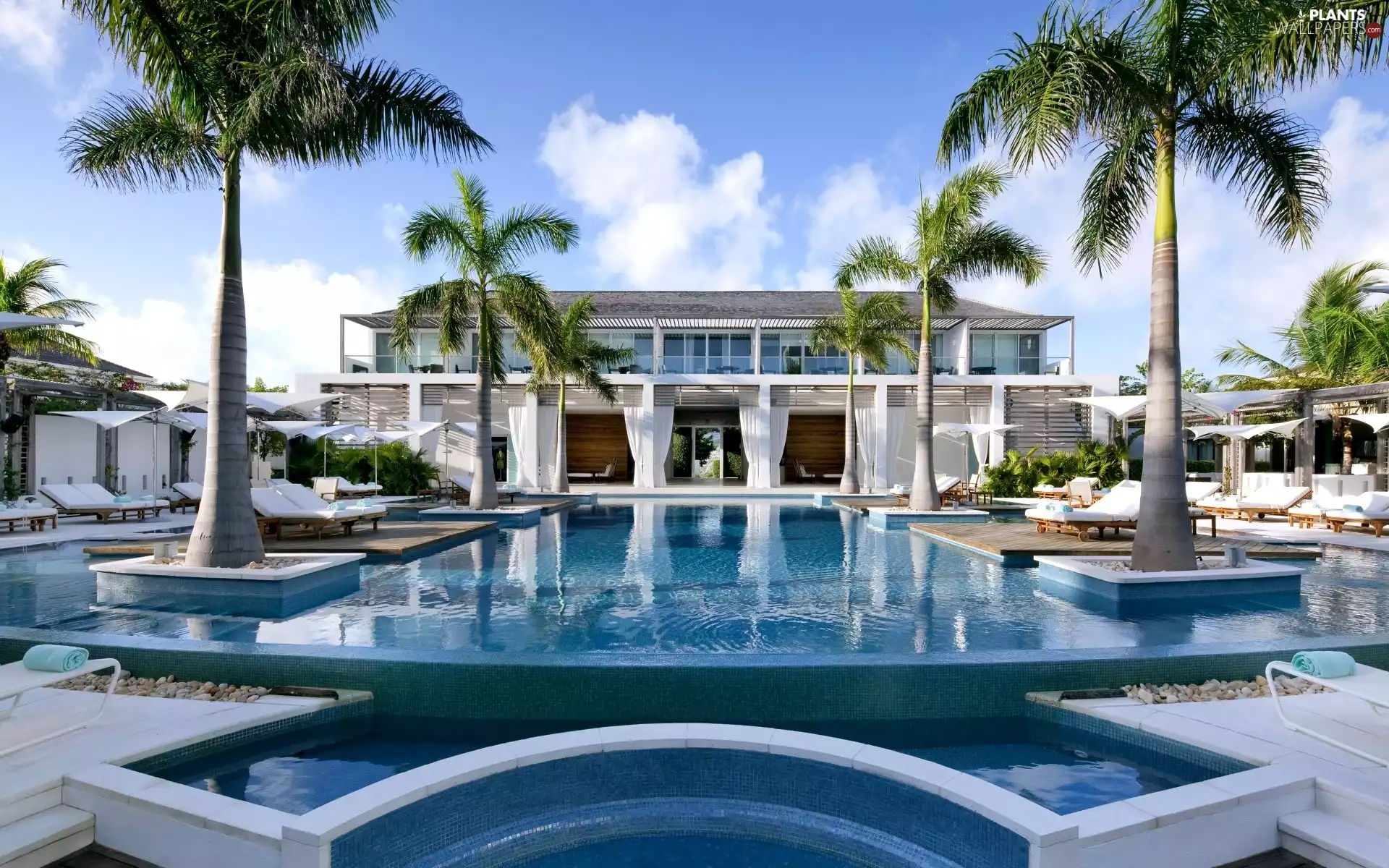 Palms, Hotel hall, Pool