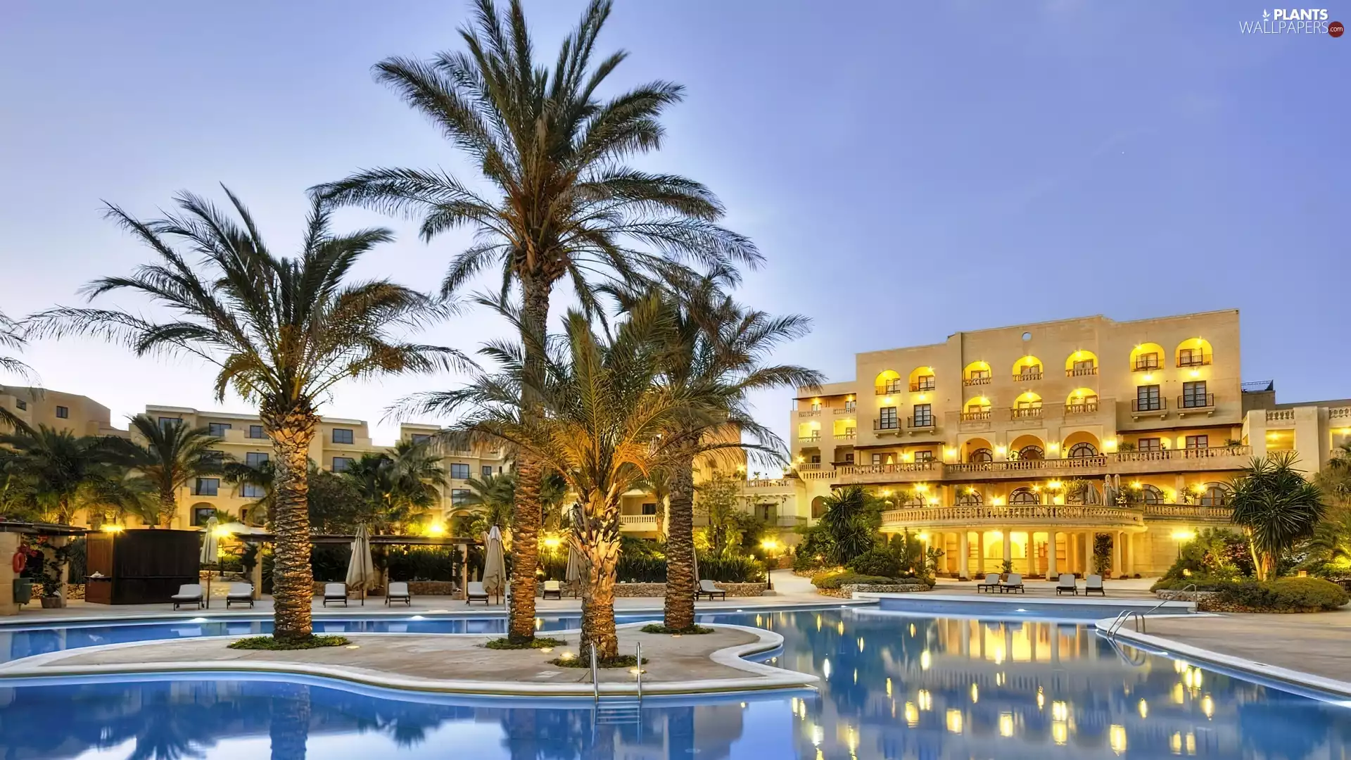 Palms, Hotel hall, Pool