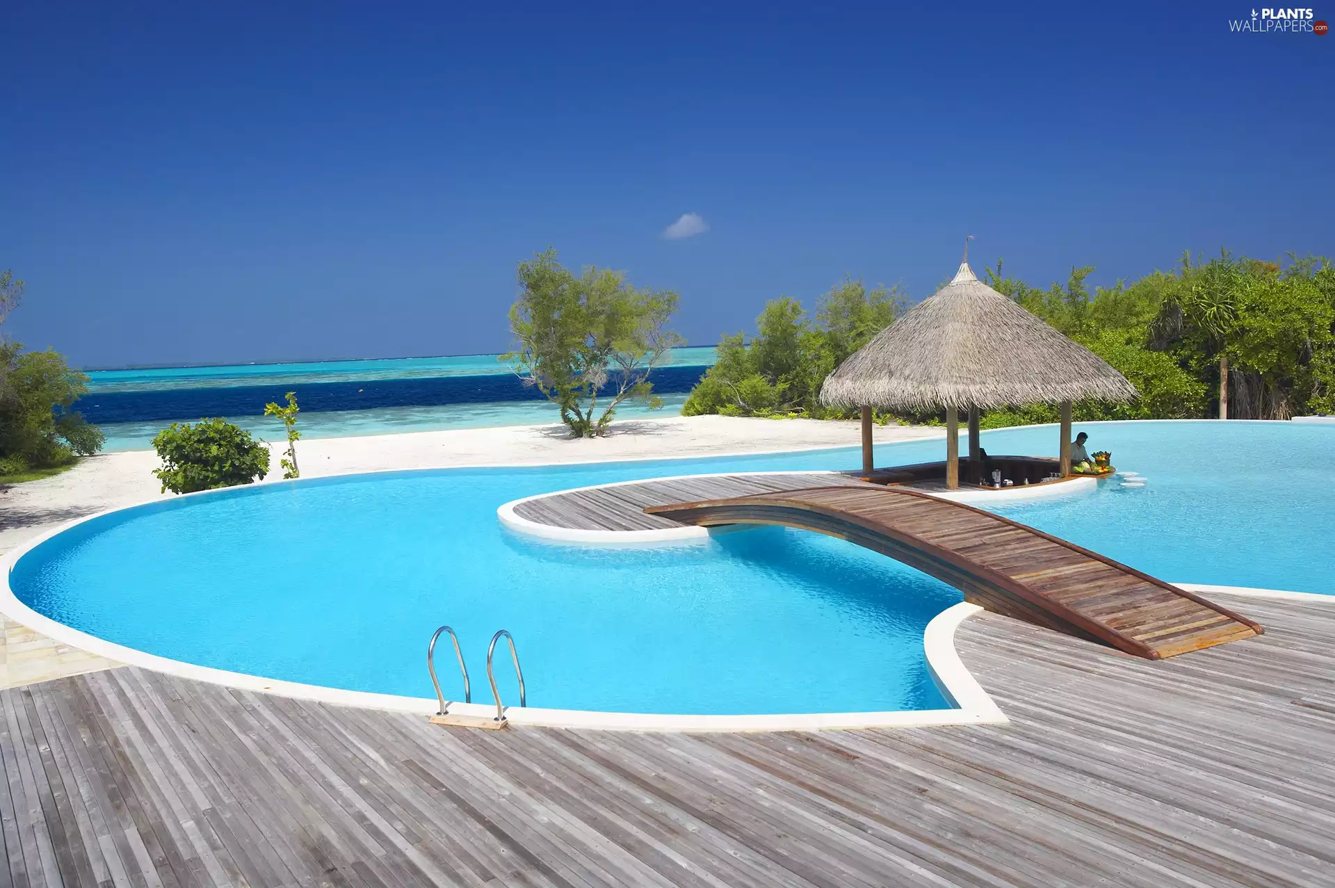 sea, Bar, Maldives, Pool