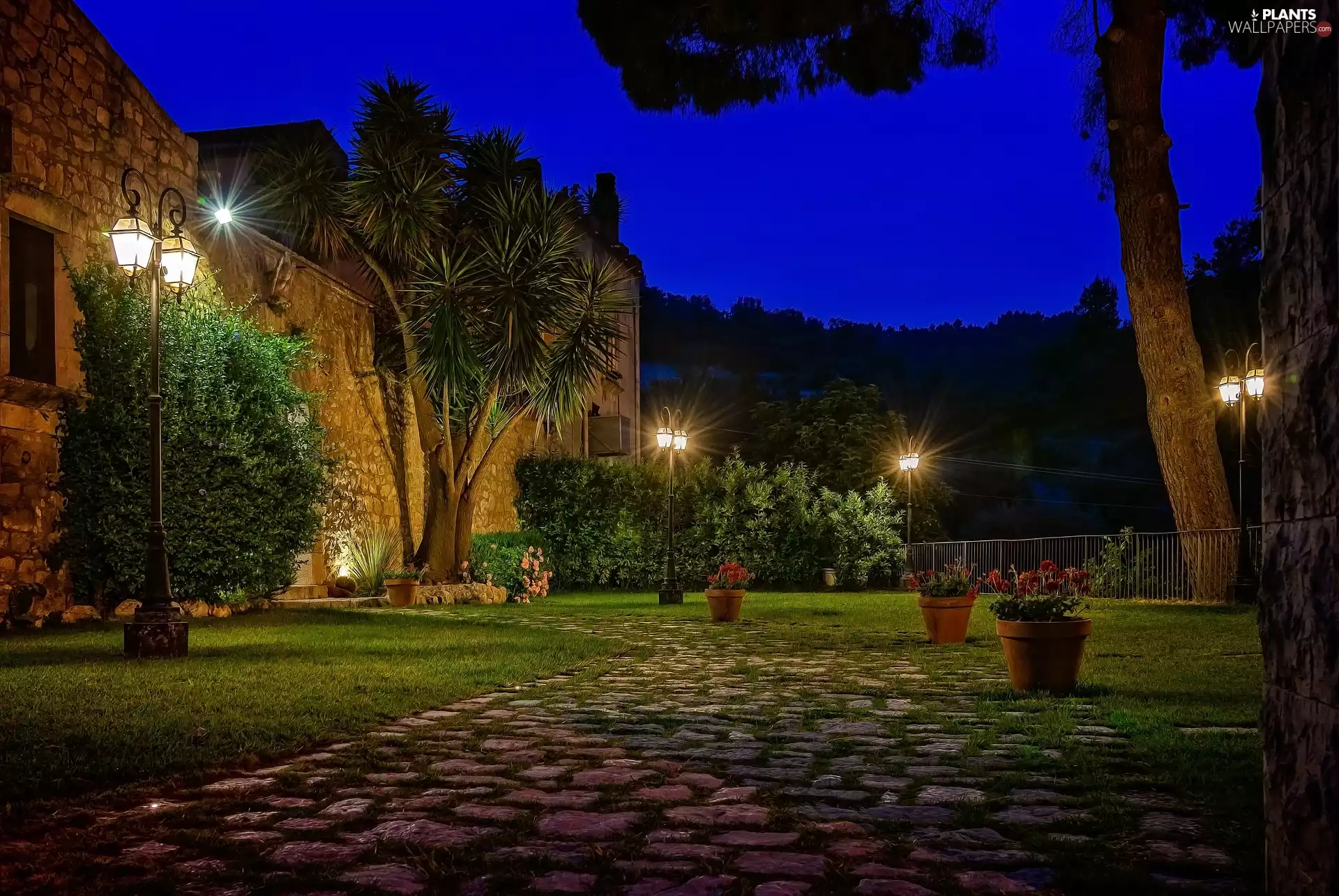 pots, house, Flowers, trees, light, Dusk, grass, lanterns, viewes
