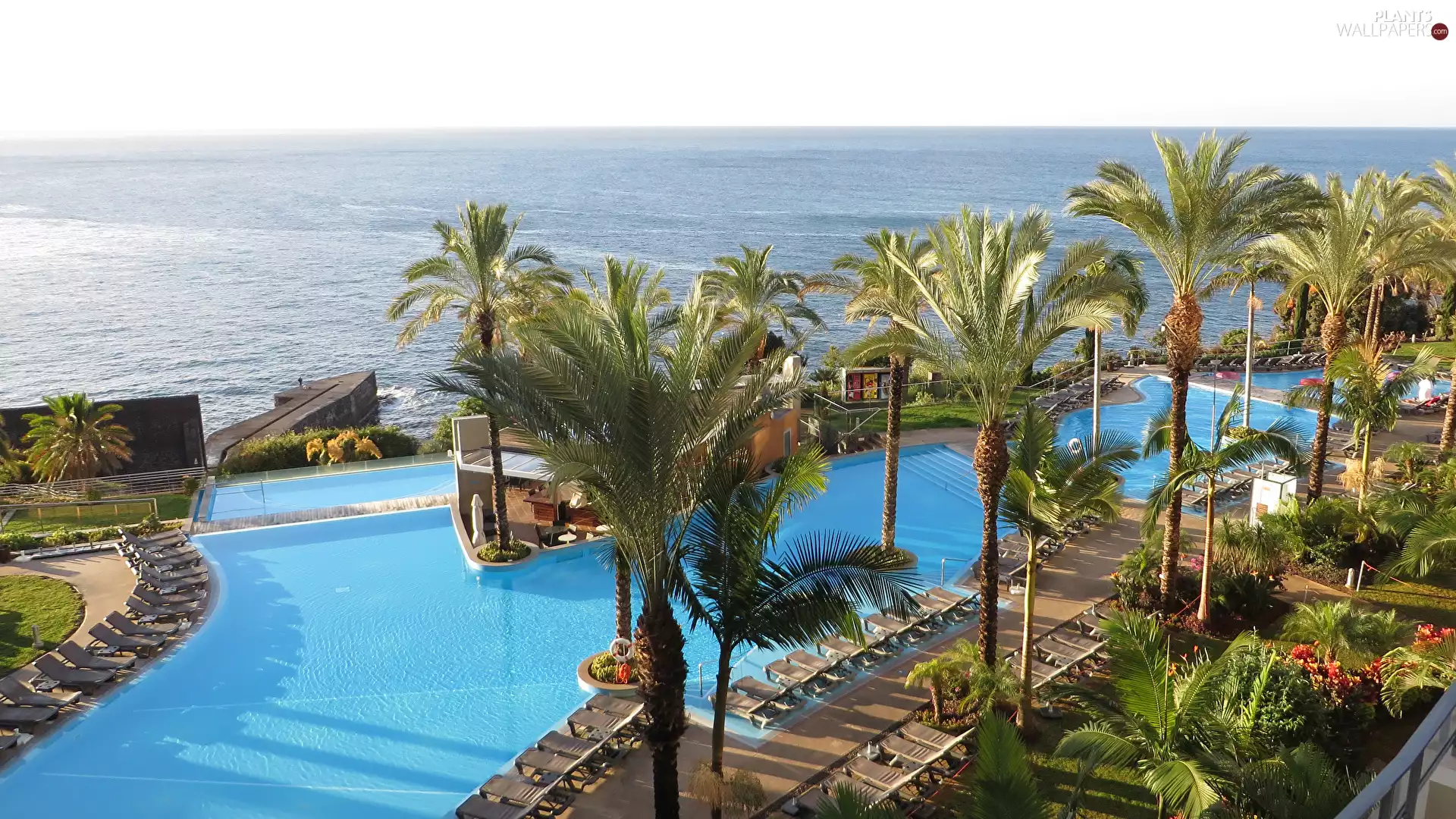 Funchal City, Pestana Promenade Hotel, madeira, Portugal, Atlantic Ocean, holiday, Palms, sea, Pool