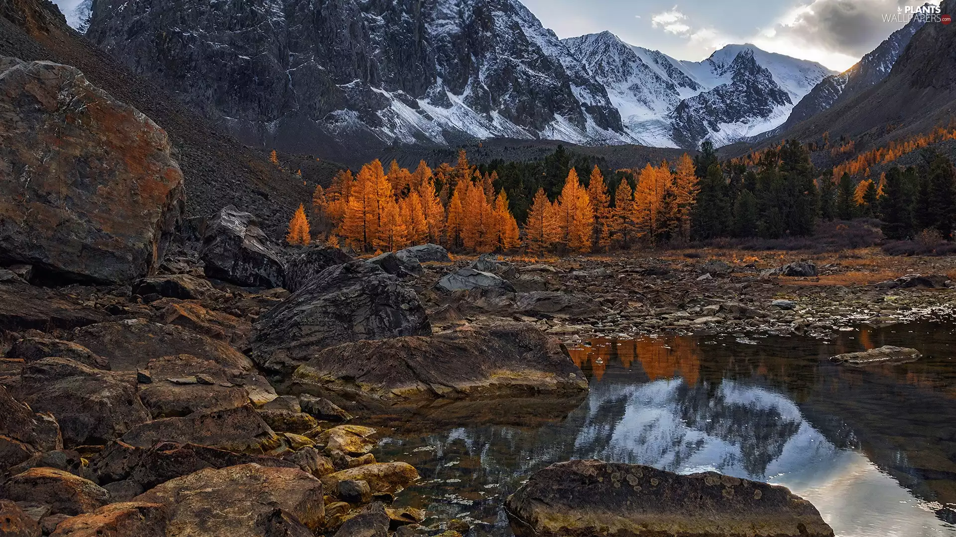 autumn, Mountains, viewes, puddle, trees, rocks