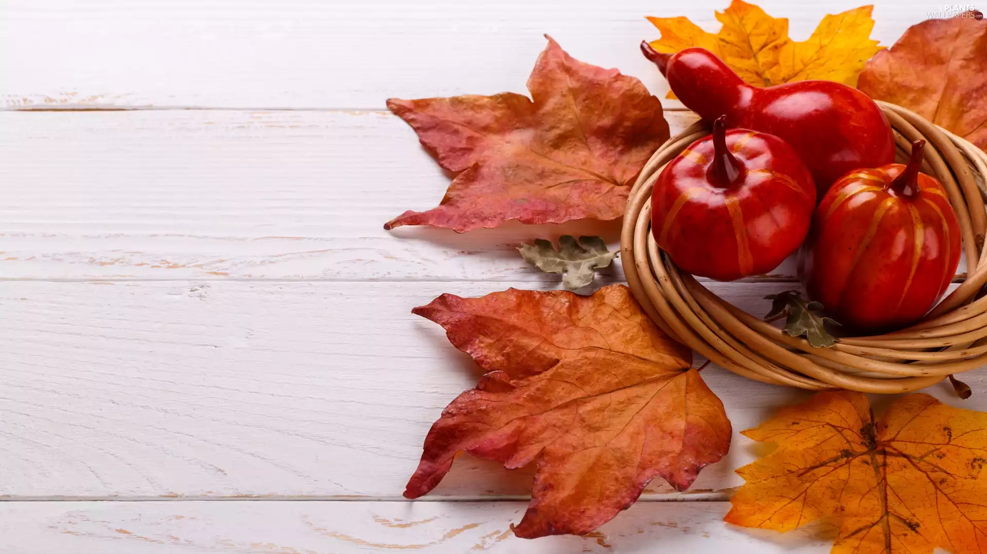 pumpkin, Autumn, Leaf