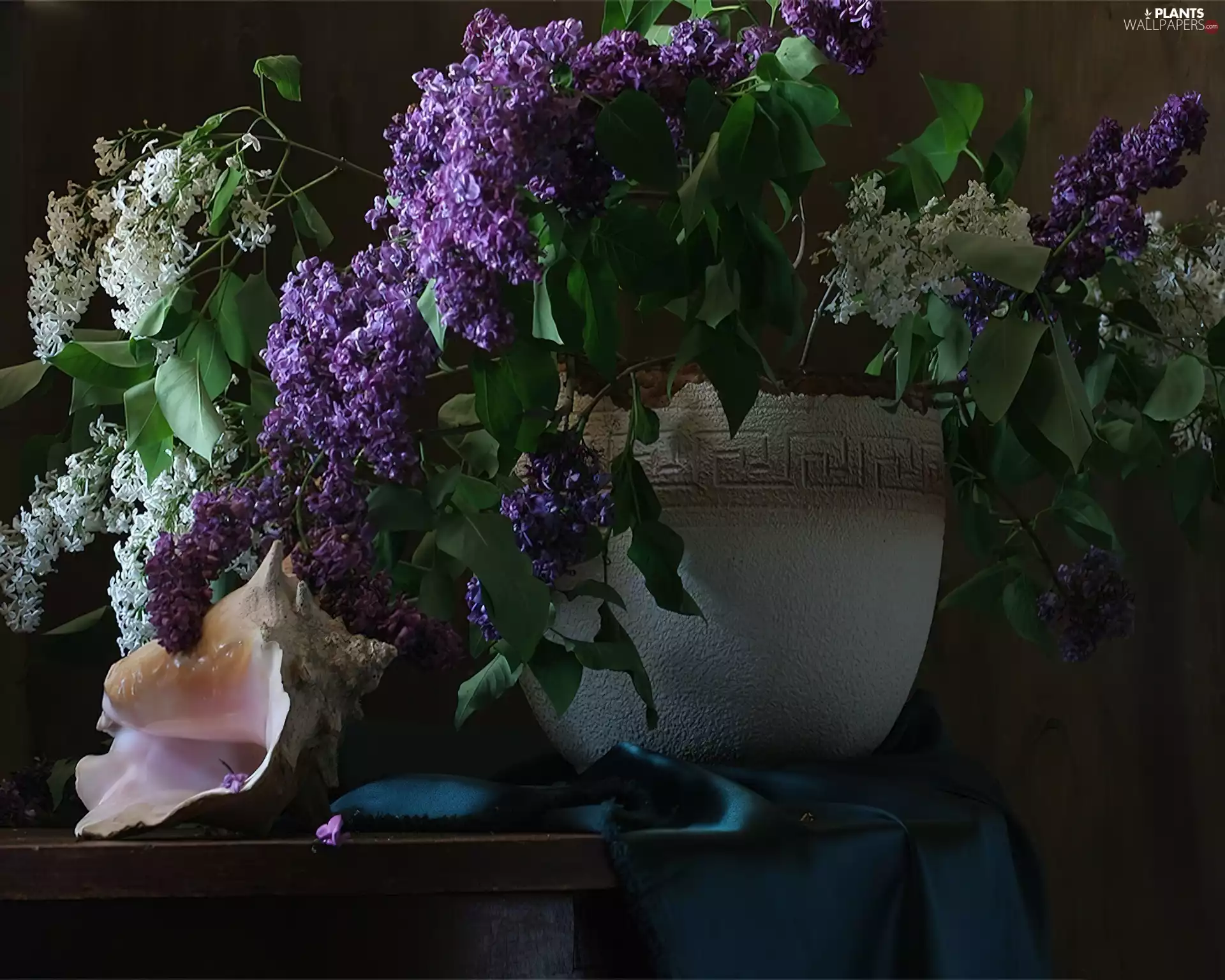 bouquet, white, lilac, purple