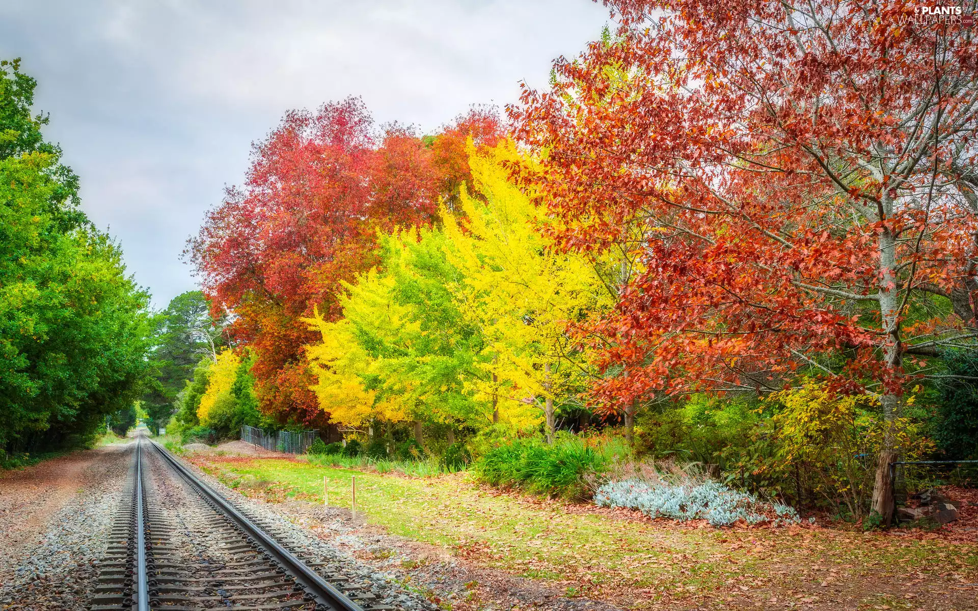 Bush, autumn, viewes, Railroad Tracks, trees