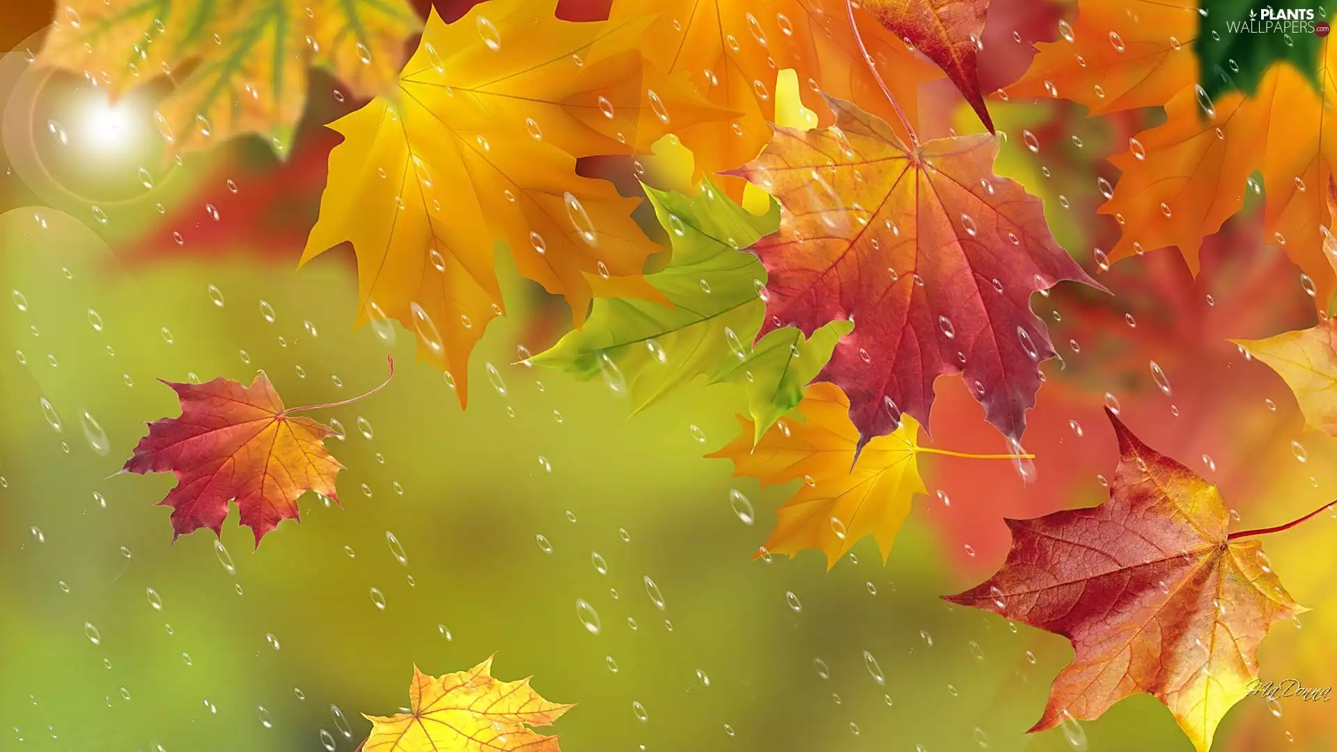 Leaf, autumn, Art, Rain