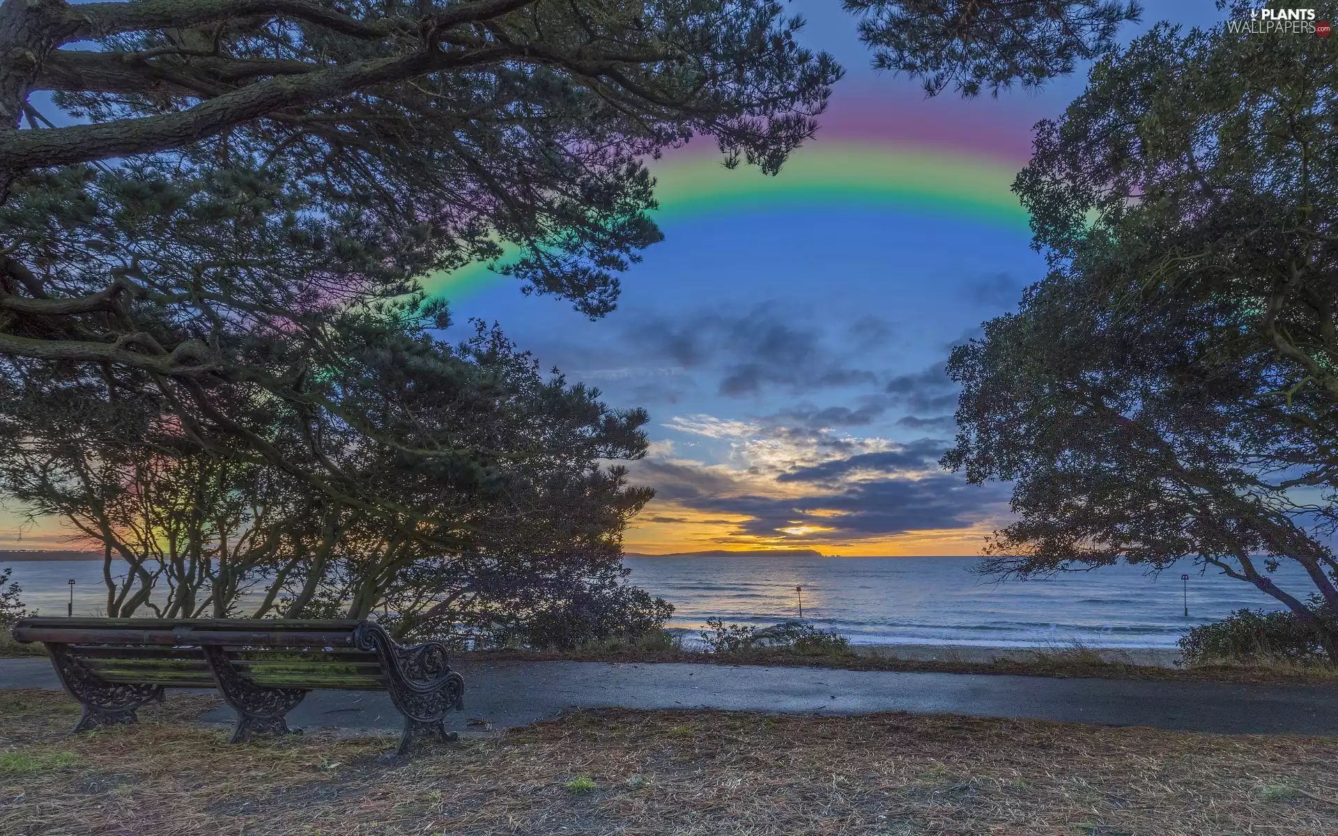 Great Sunsets, Coast, trees, viewes, Bench, Great Rainbows
