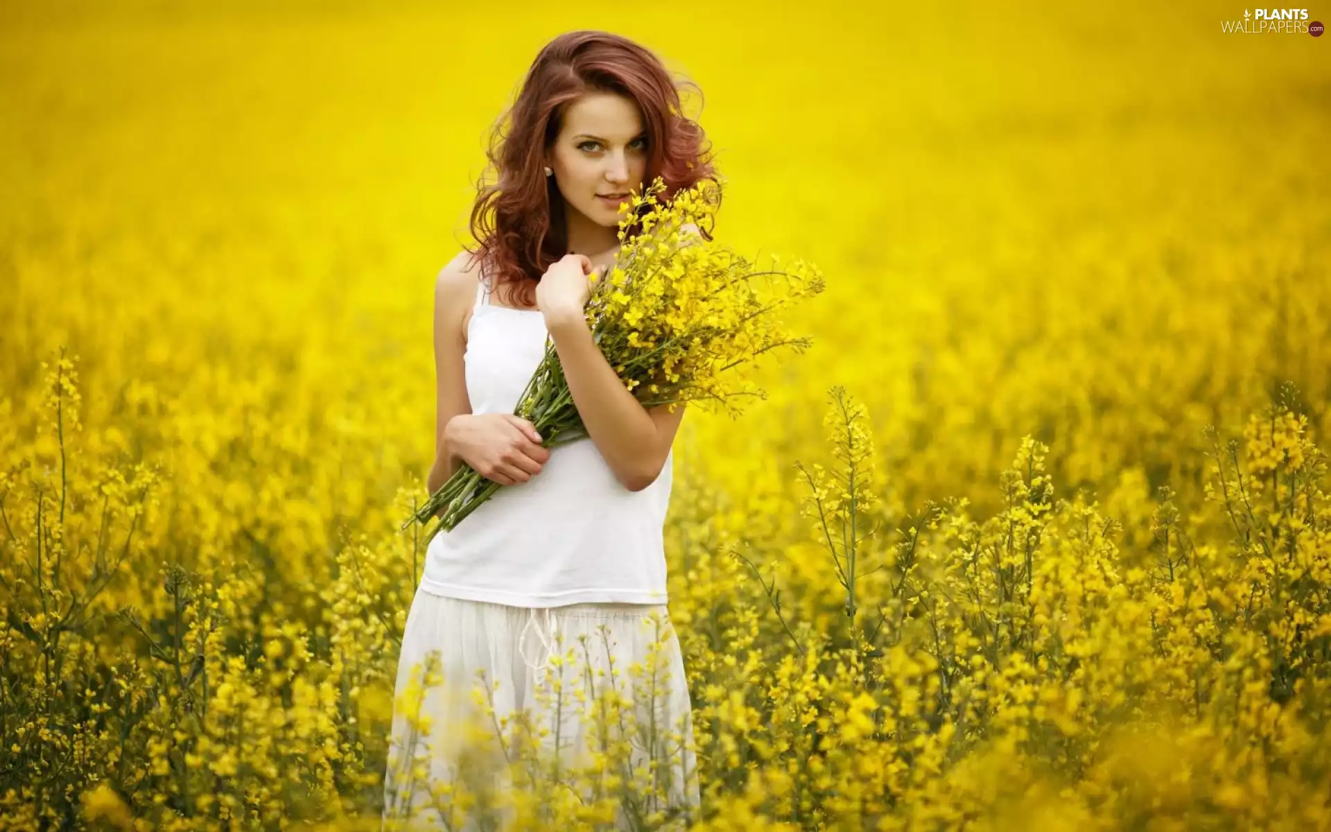 girl, rape, small bunch, Field