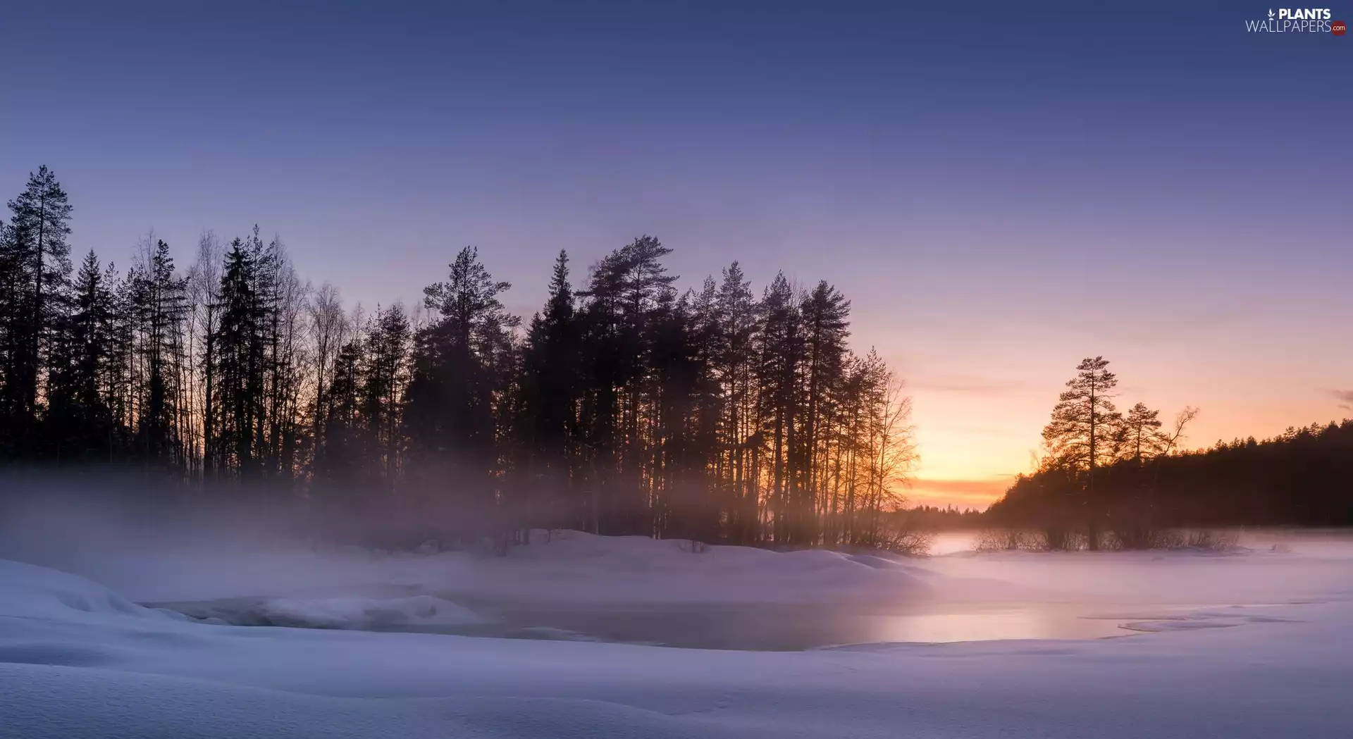 trees, North Karelia, Ruunaa, Fog, River Neitikoski Rapid, Finland, Lieksa City, Great Sunsets, viewes, winter