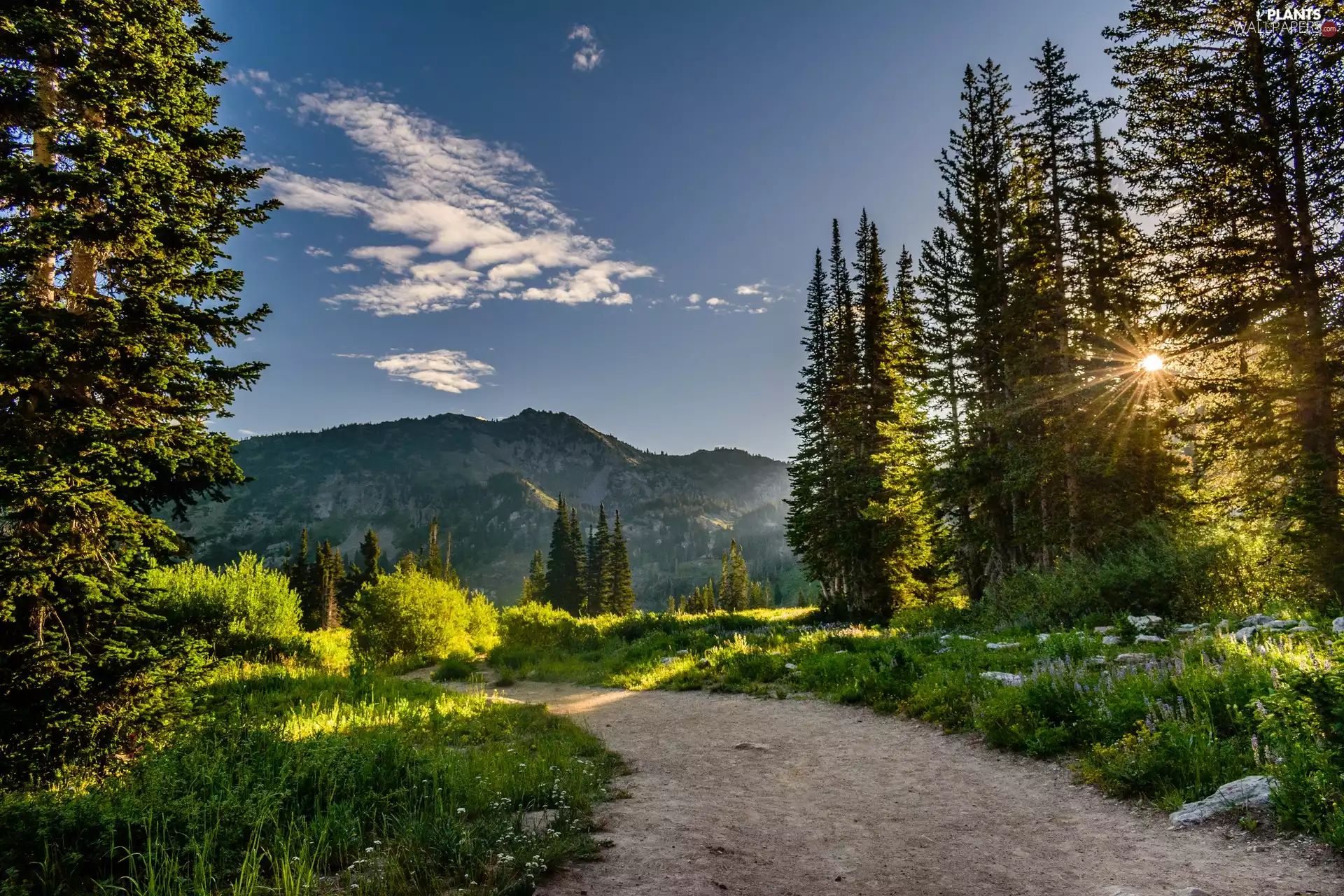 rays of the Sun, Path, viewes, clouds, trees, Mountains