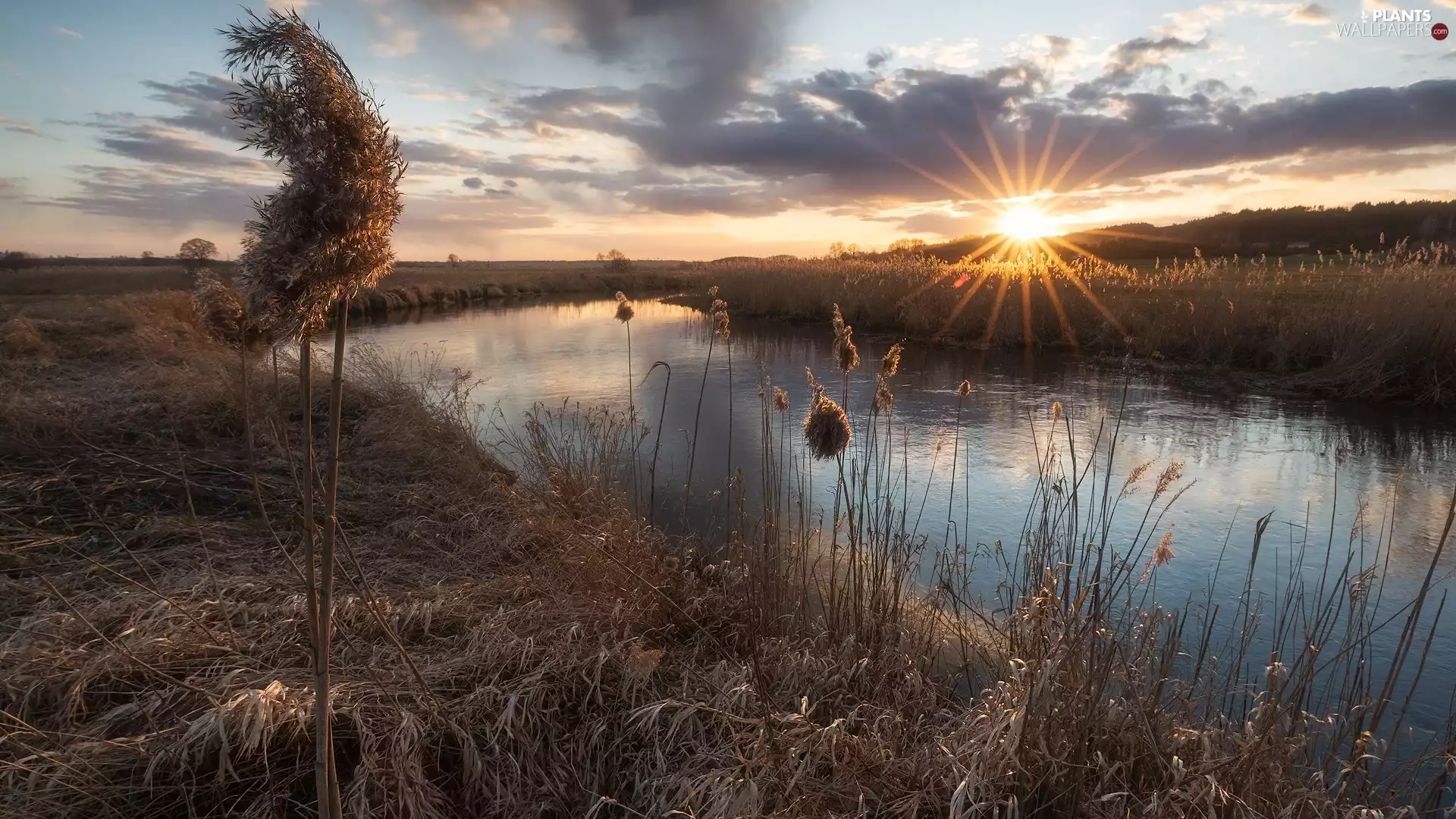 River, dry, grass, rays of the Sun