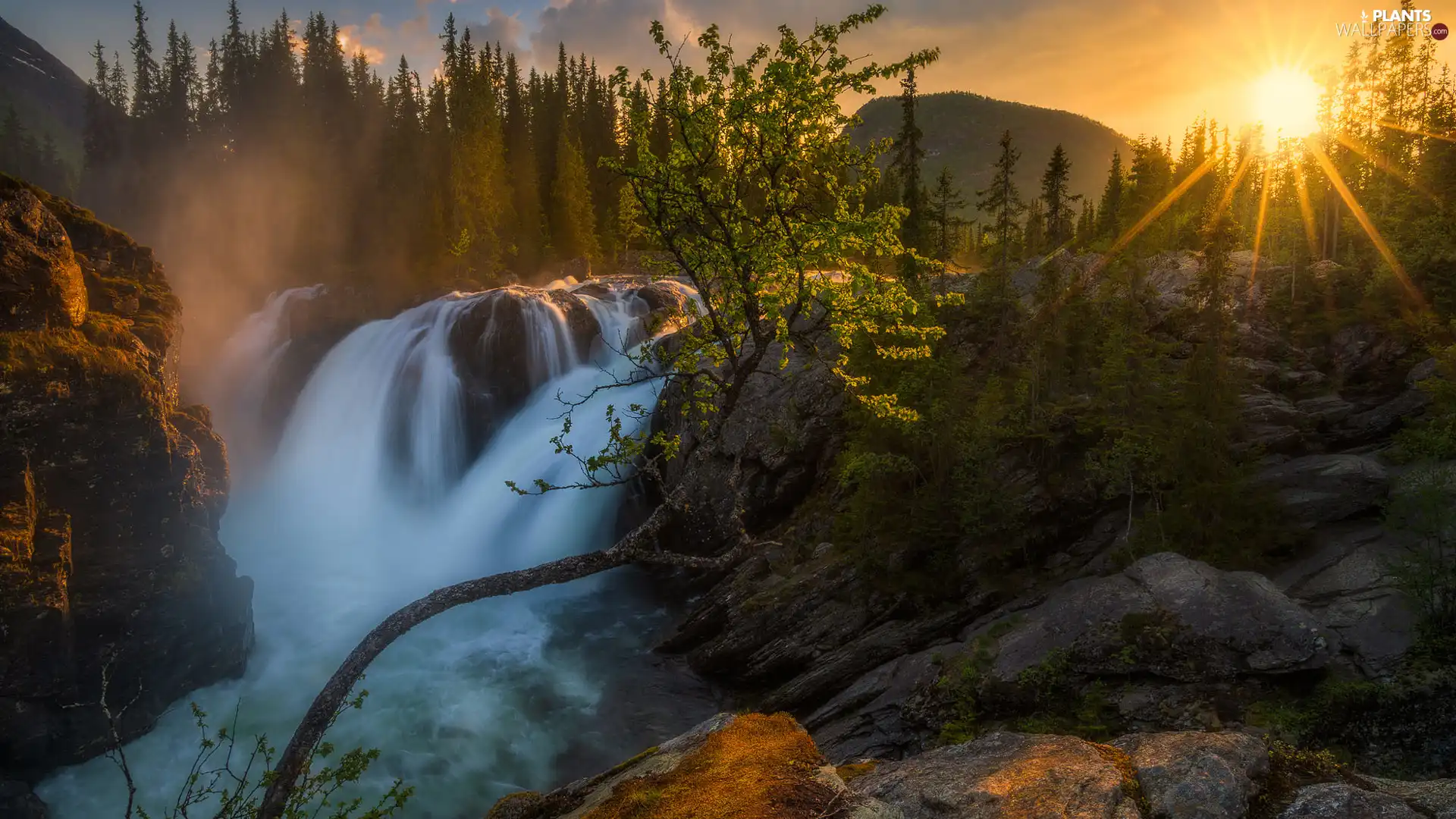 Rjukandefossen Waterfall, rocks, rays of the Sun, Mountains, viewes, Hemsedal Commune, Norway, trees