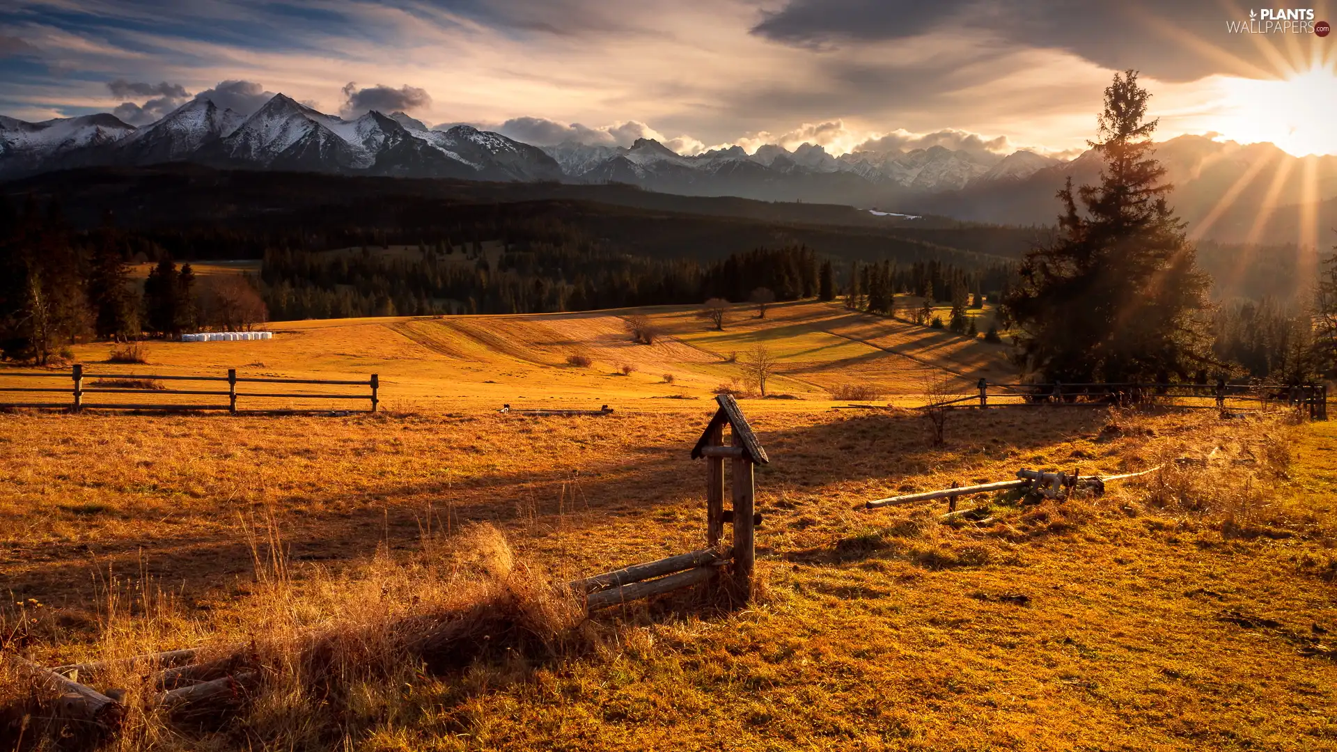 rays of the Sun, field, Tatras, trees, autumn, Mountains, Poland