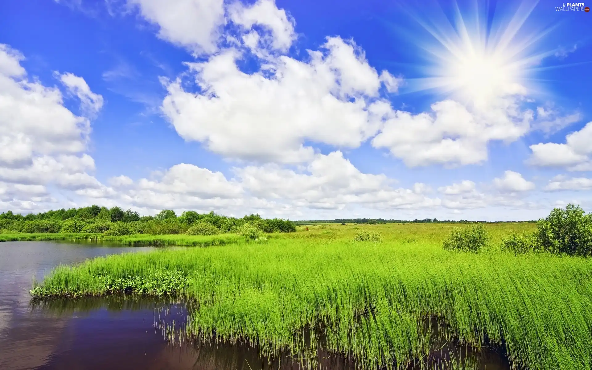 grass, River, rays, sun, clouds, Meadow