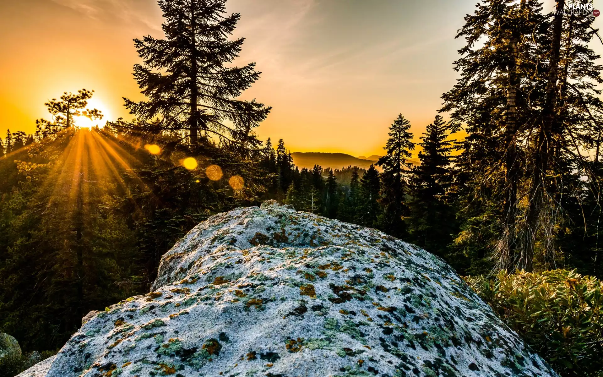 Mountains, west, viewes, rays, trees, sun