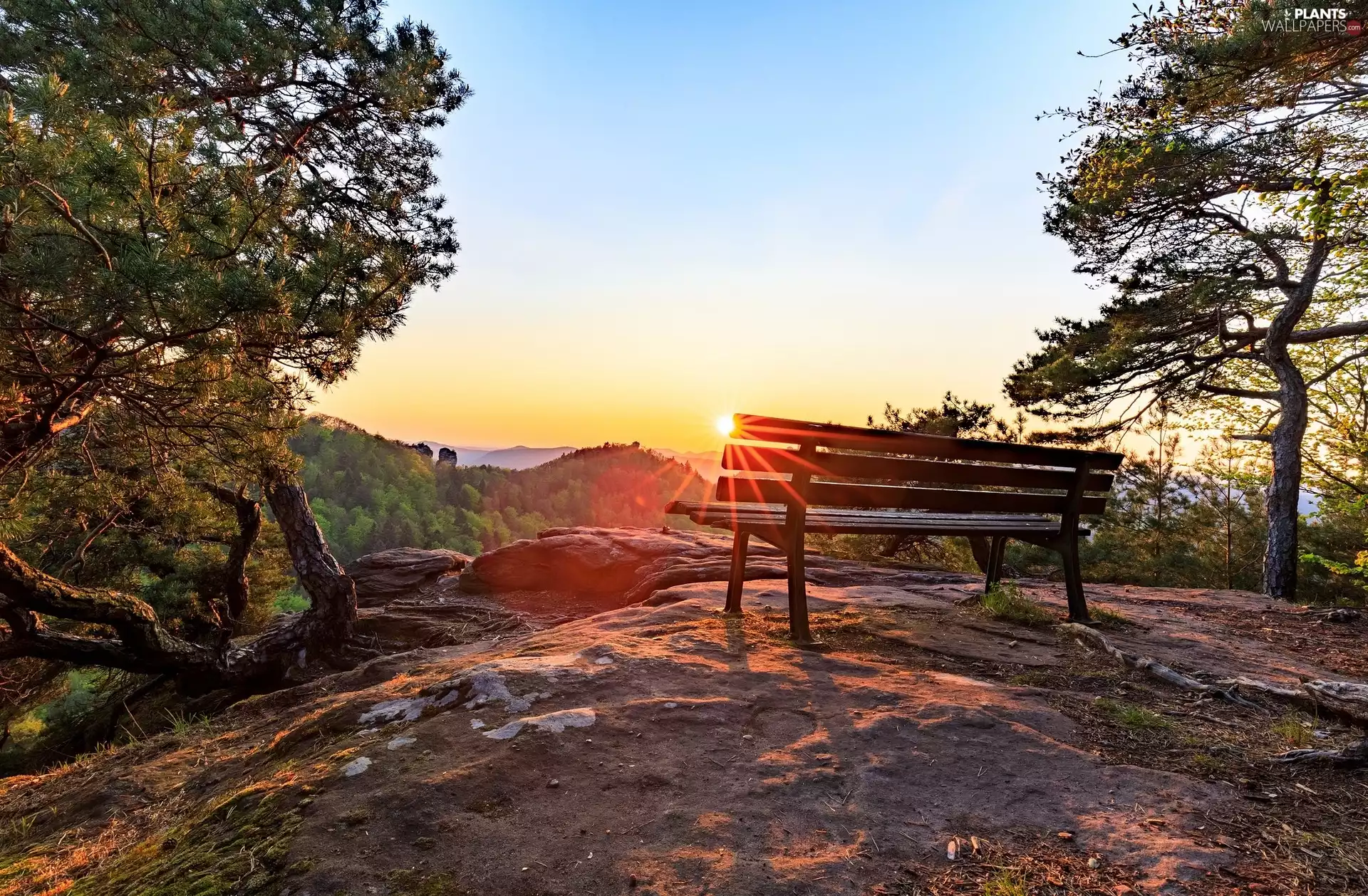 rays of the Sun, The Hills, trees, viewes, Bench