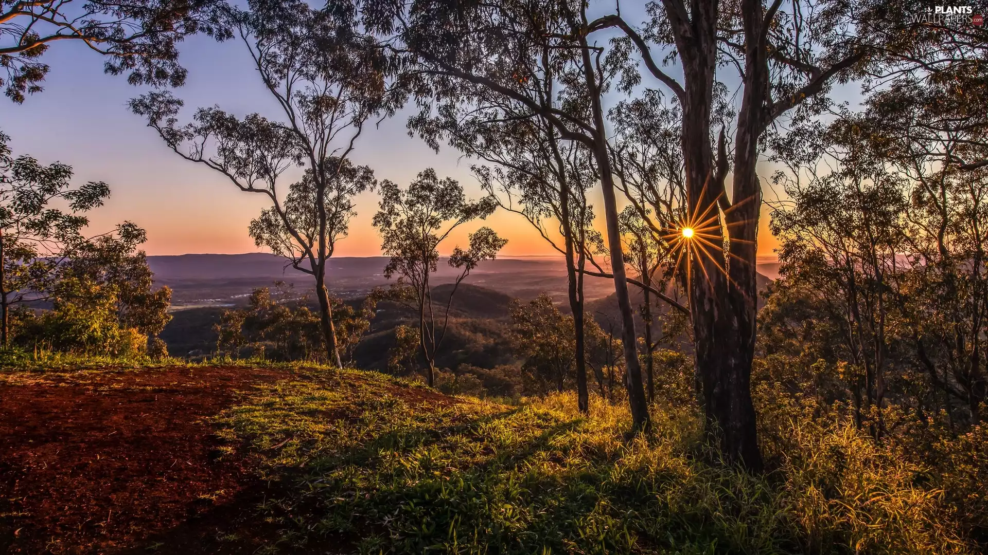 rays of the Sun, landscape, trees, viewes, The Hills