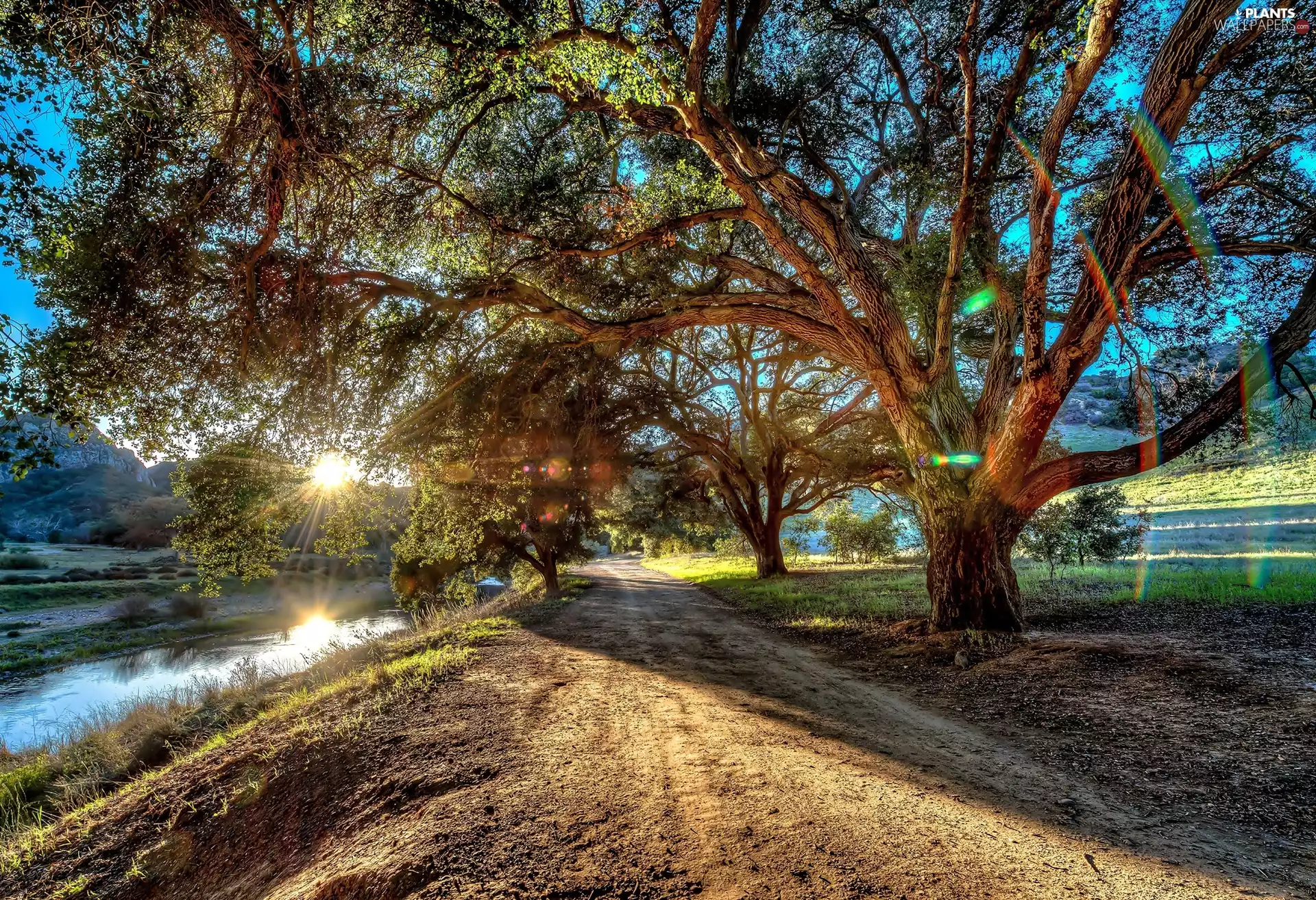 River, trees, viewes, rays of the Sun