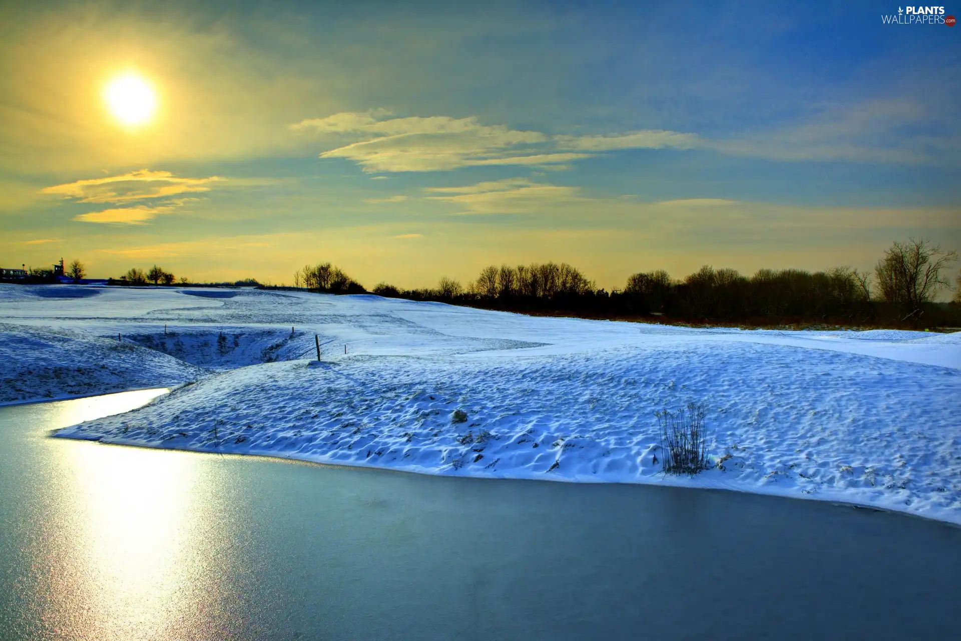 viewes, field, sun, trees, River, rays, winter