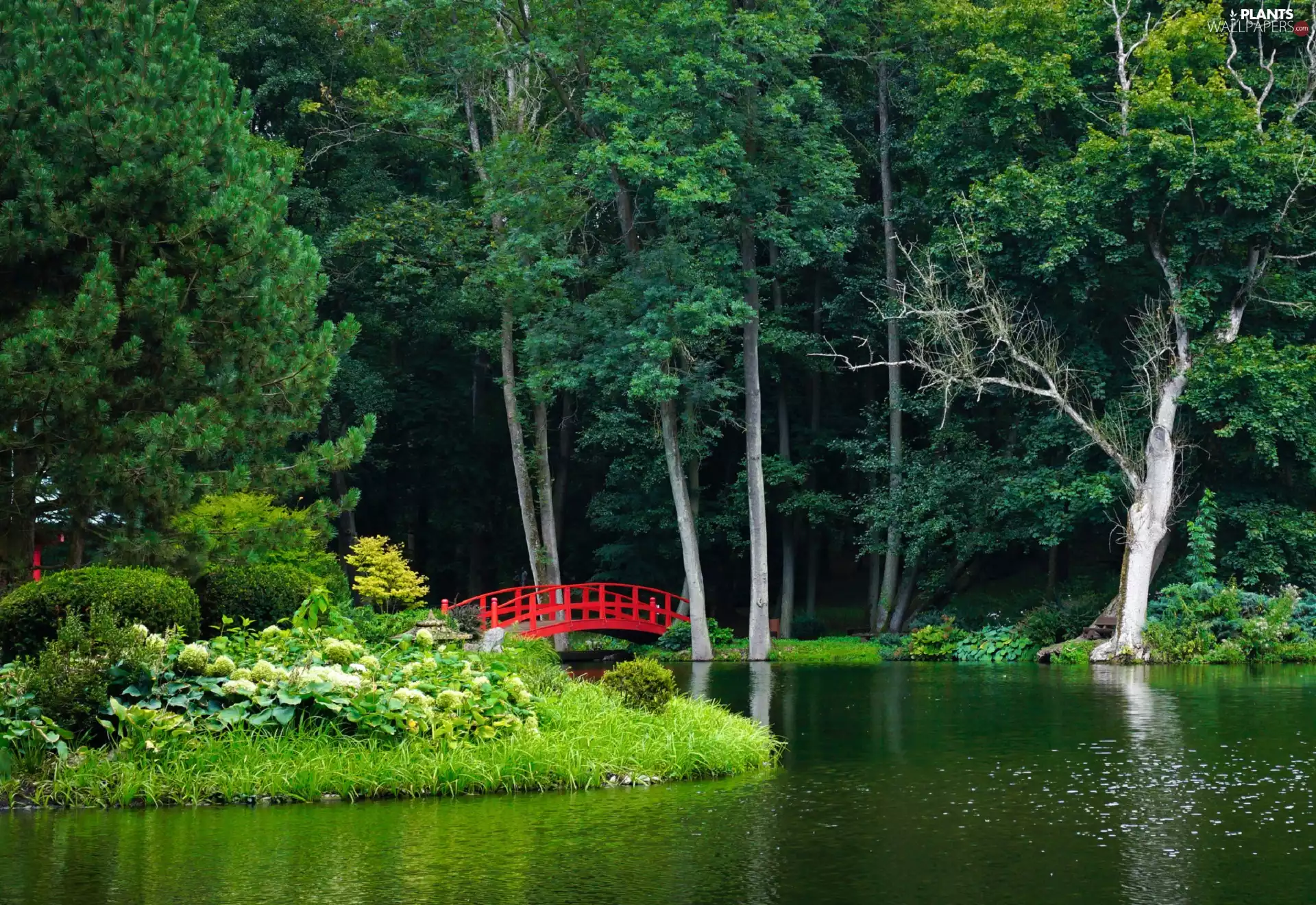 viewes, Pond - car, Red, bridges, Islet, trees