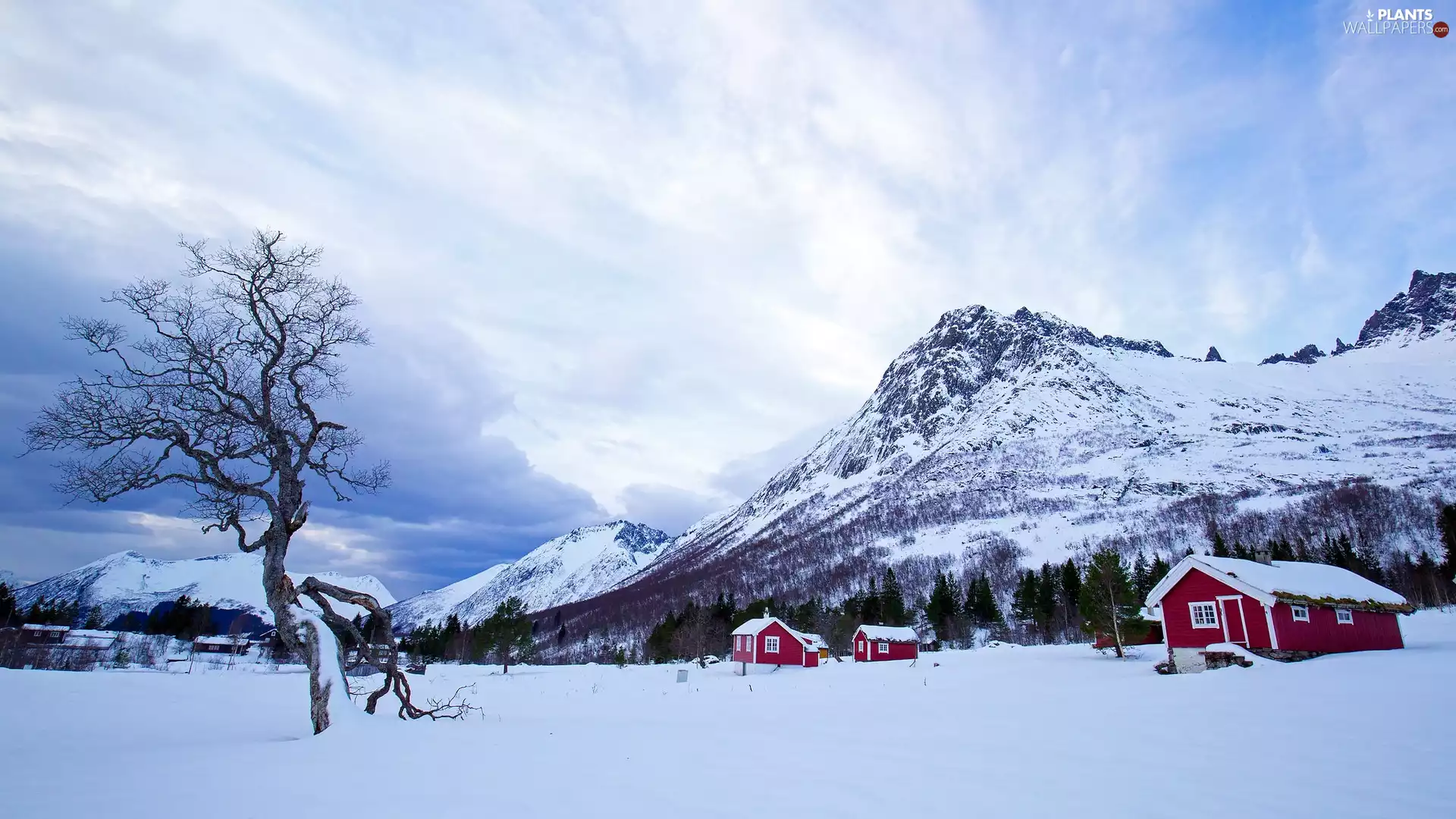 Houses, Mountains, trees, Red, winter, snow, viewes