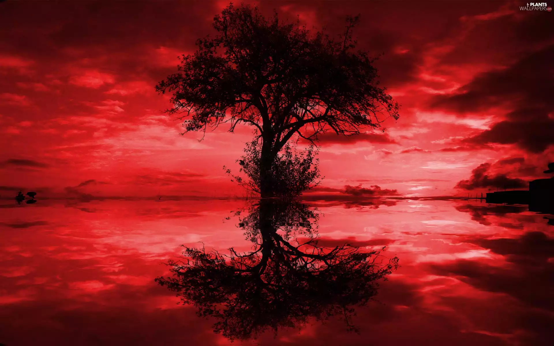 trees, background, reflection, Red