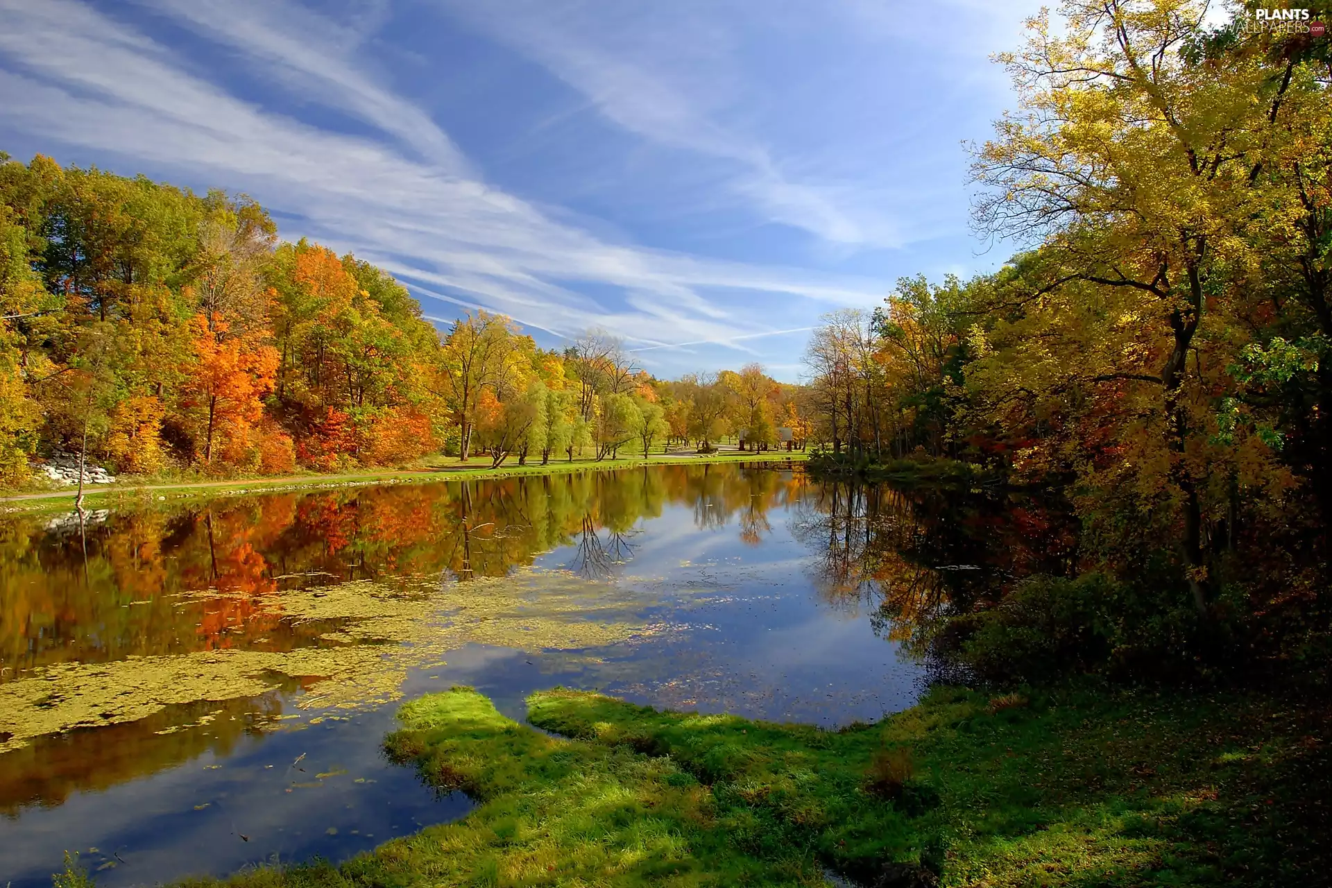 River, reflection, clouds, Park, autumn