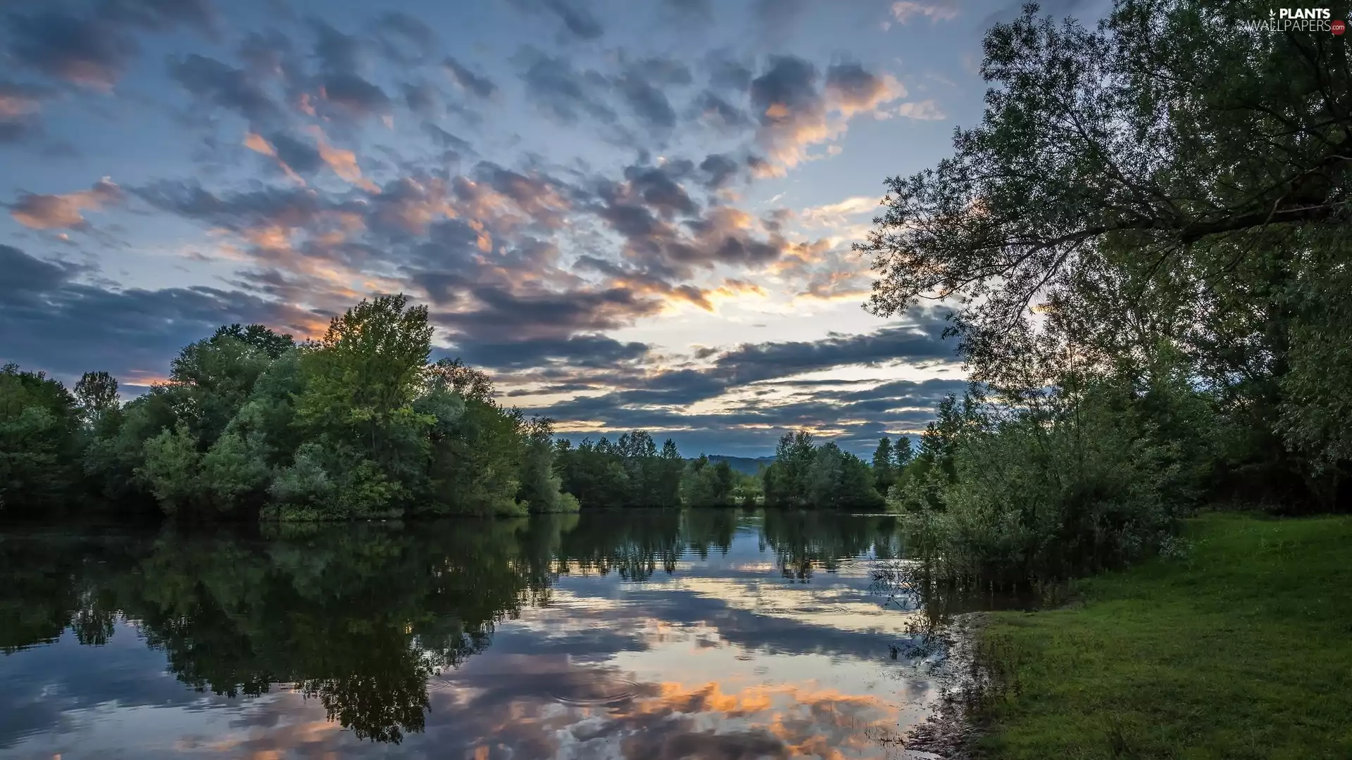 trees, Coartia, clouds, reflection, viewes, Bobovica Lake