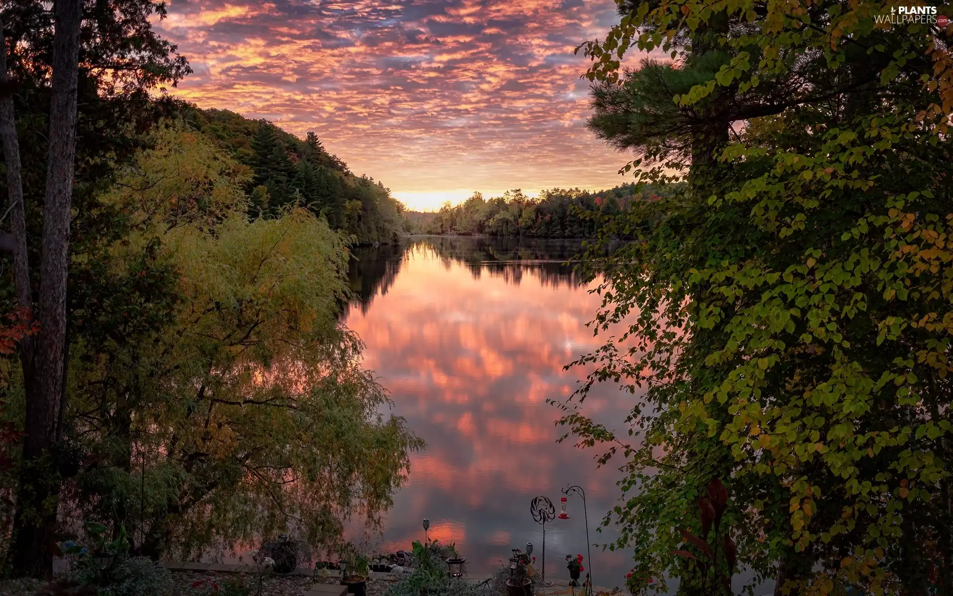 viewes, forest, clouds, trees, lake, Great Sunsets, reflection