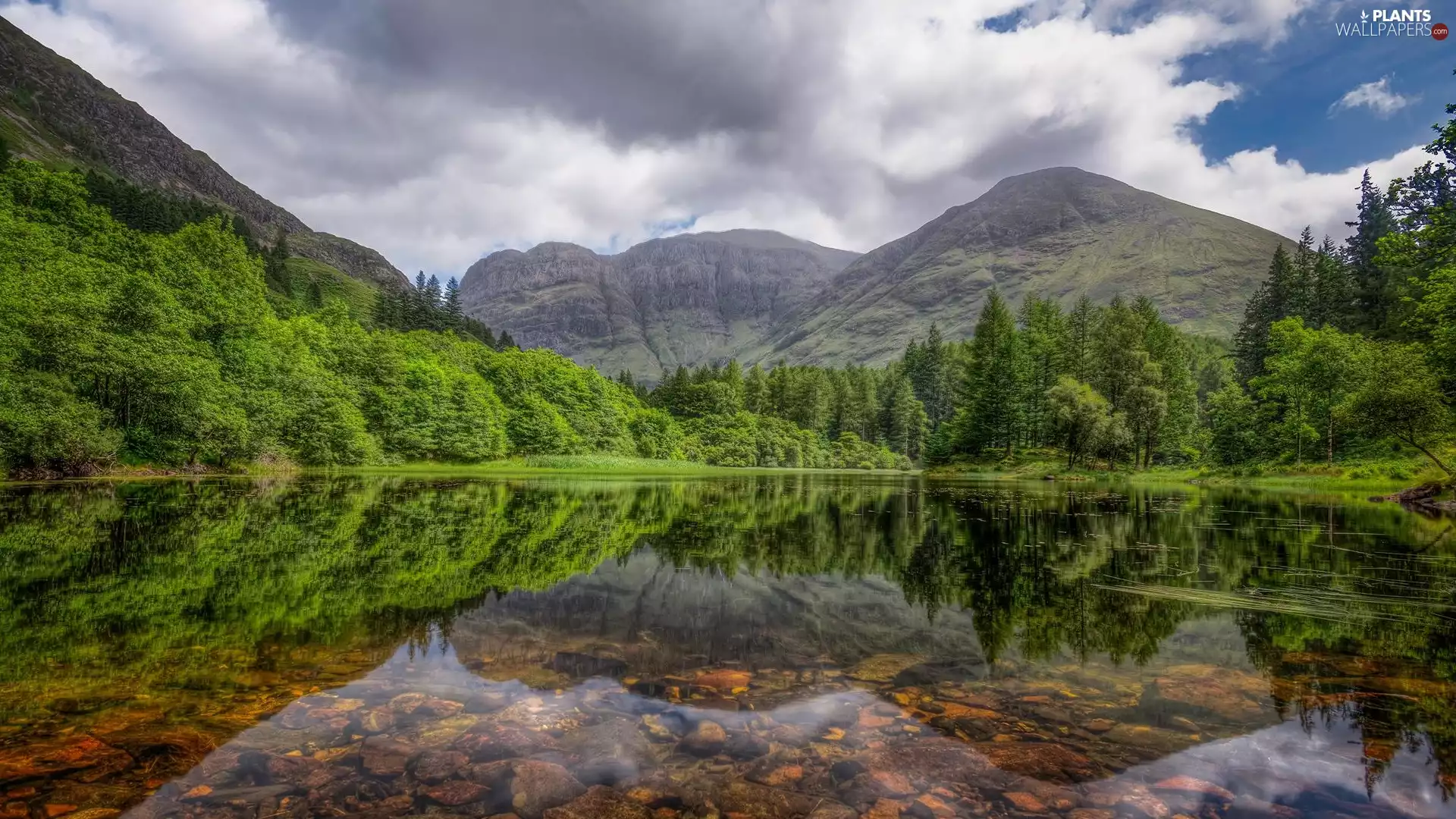 trees, lake, clouds, green ones, Mountains, viewes, reflection