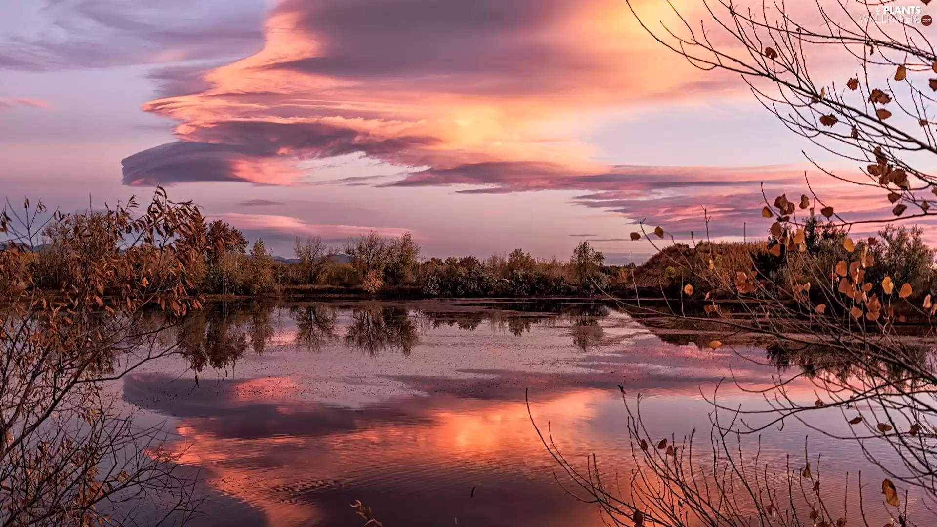 viewes, lake, clouds, reflection, Great Sunsets, trees