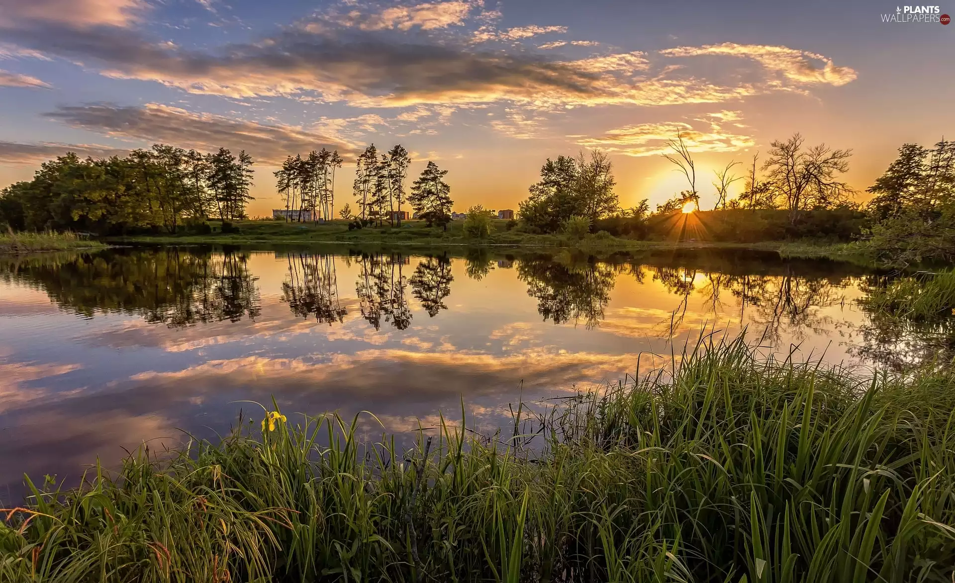 grass, trees, clouds, viewes, Pond - car, Sunrise, reflection