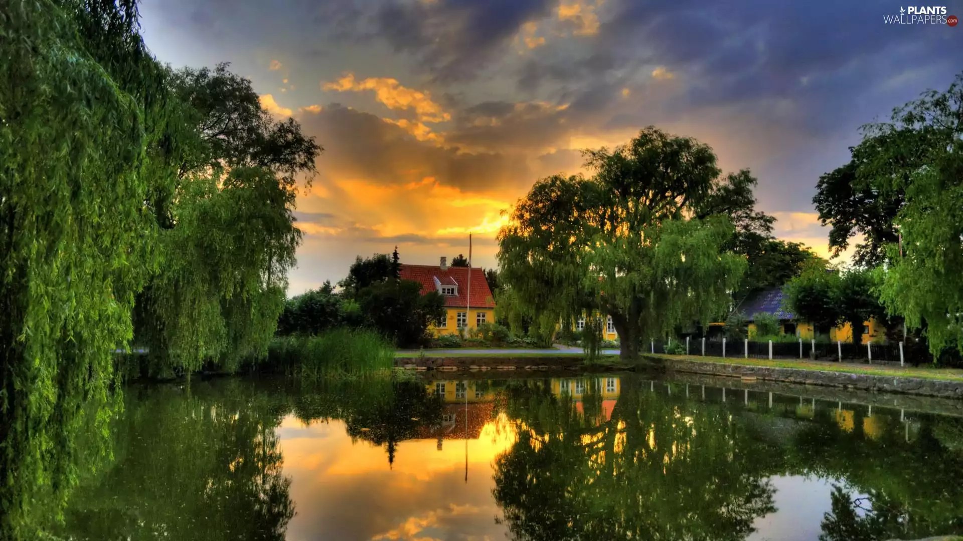 clouds, reflection, Crying, Houses, willow