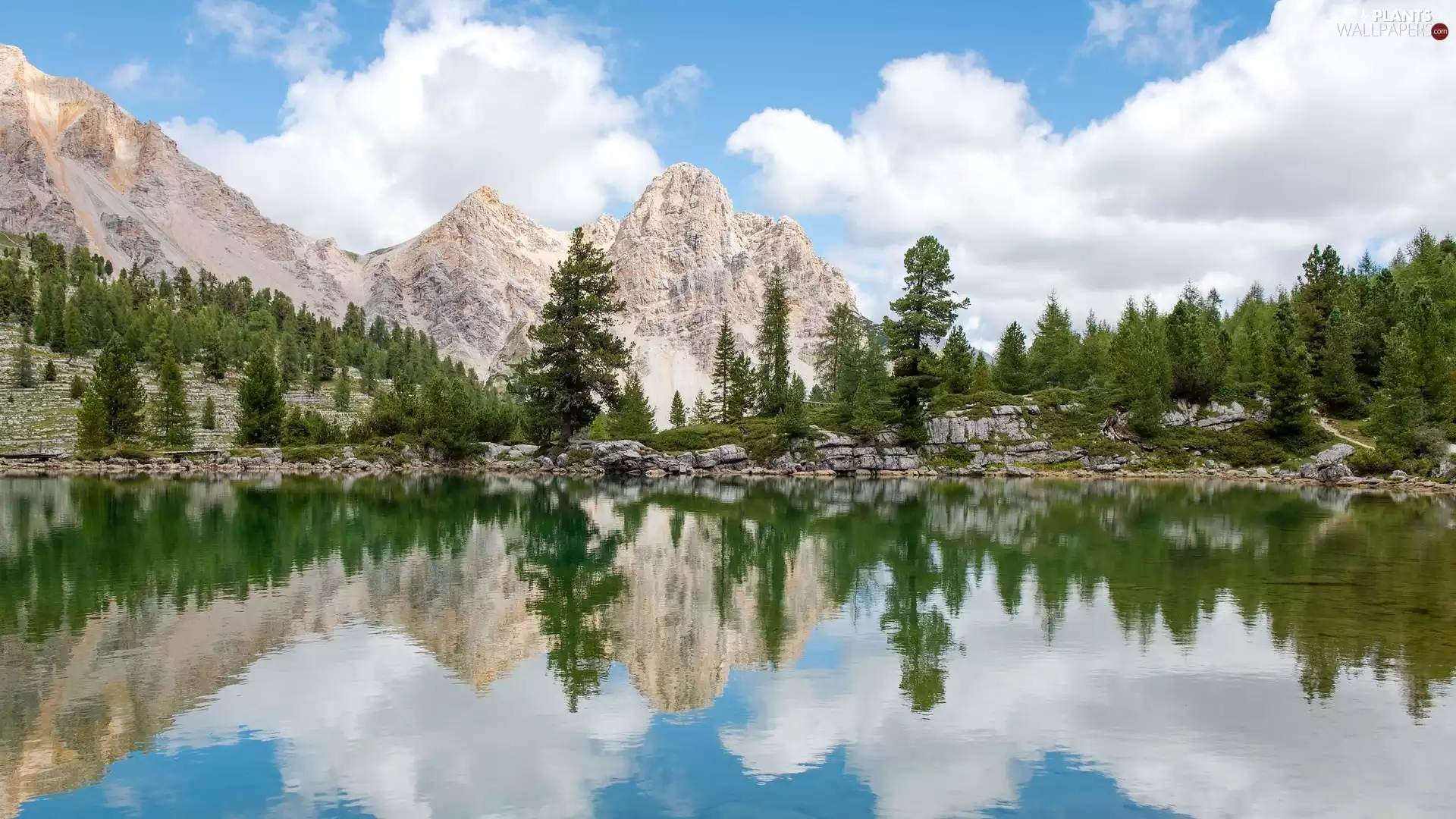 lake, Mountains, viewes, reflection, trees, Dolomites