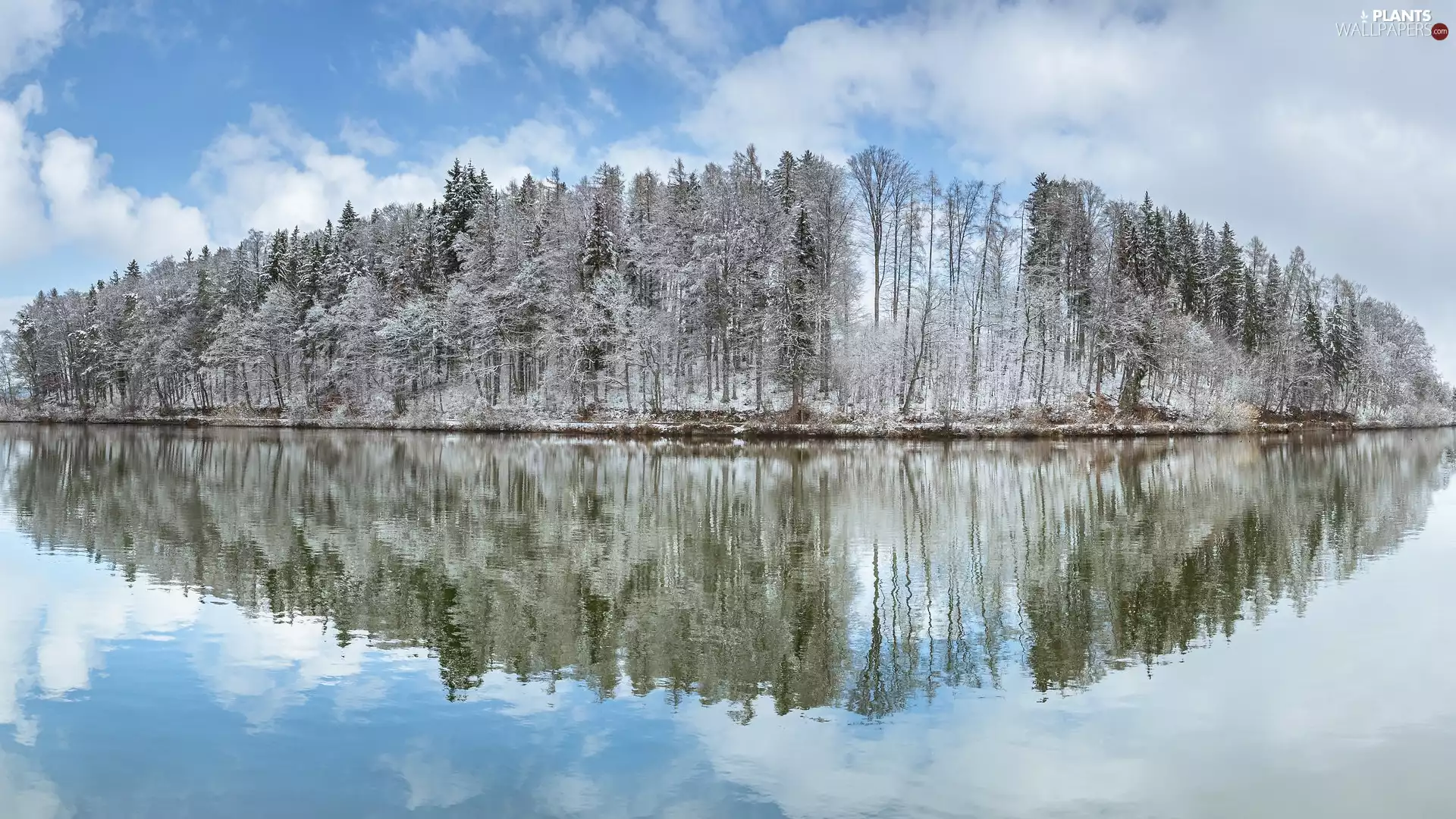viewes, reflection, frosty, trees, lake