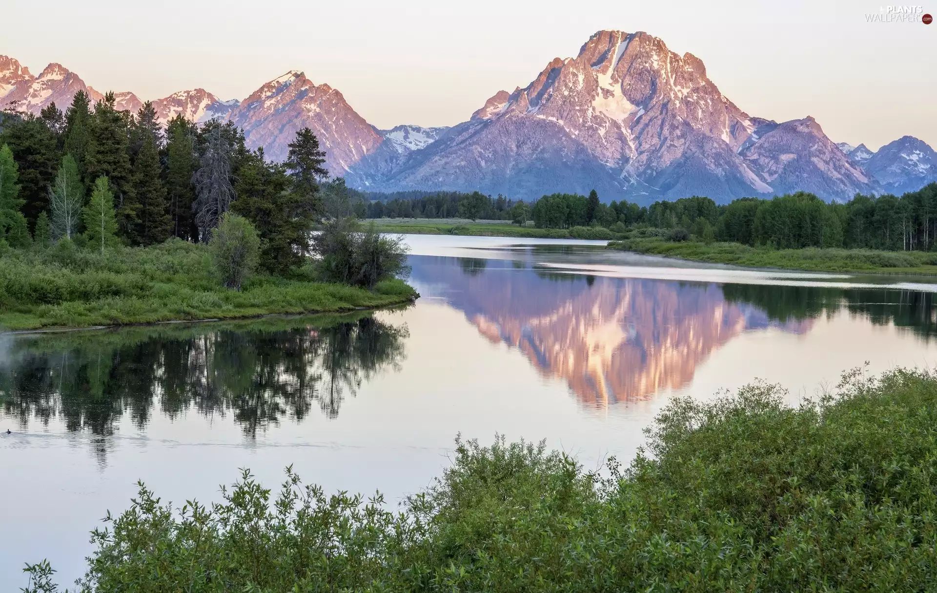 viewes, State of Wyoming, Mountains, Snake River, Mount Moran, The United States, Grand Teton National Park, reflection, forest, trees