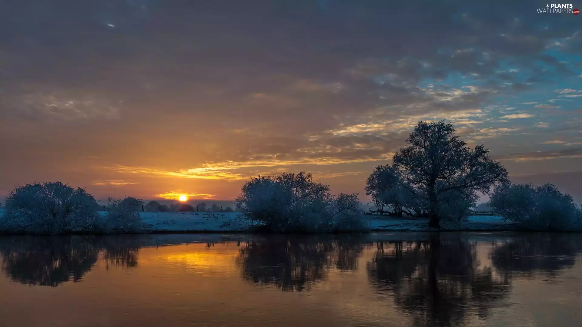 trees, River, Great Sunsets, frosty, winter, viewes, reflection