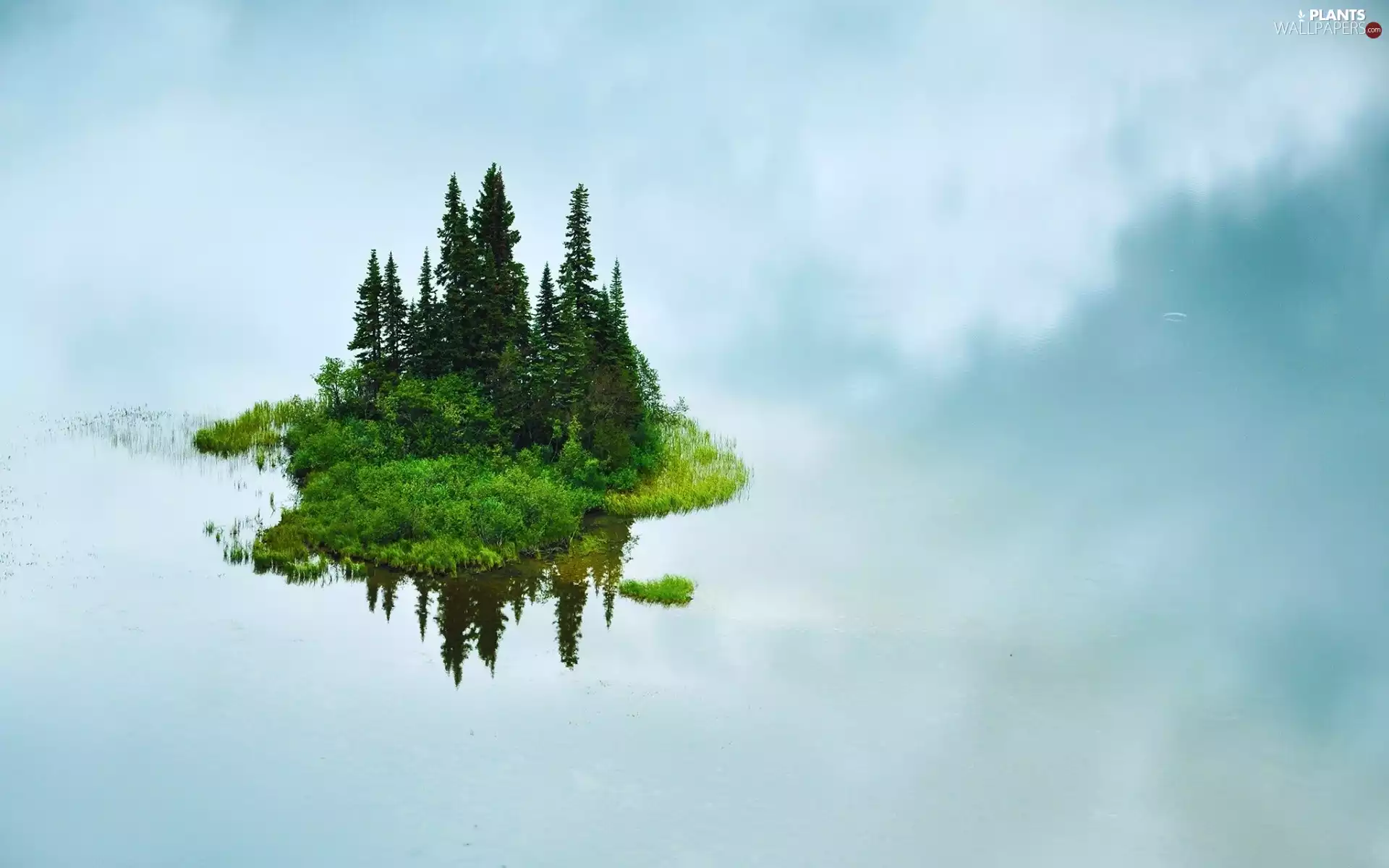 viewes, reflection, Island, trees, lake
